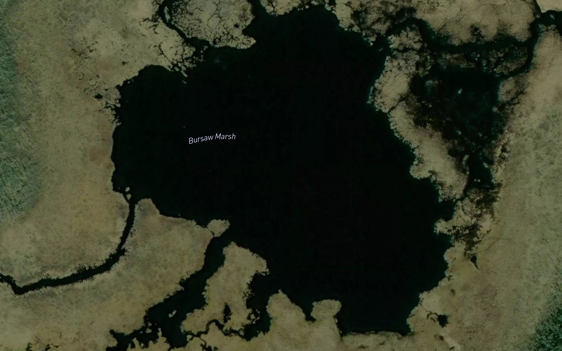Satellite map of the Bursaw Marsh