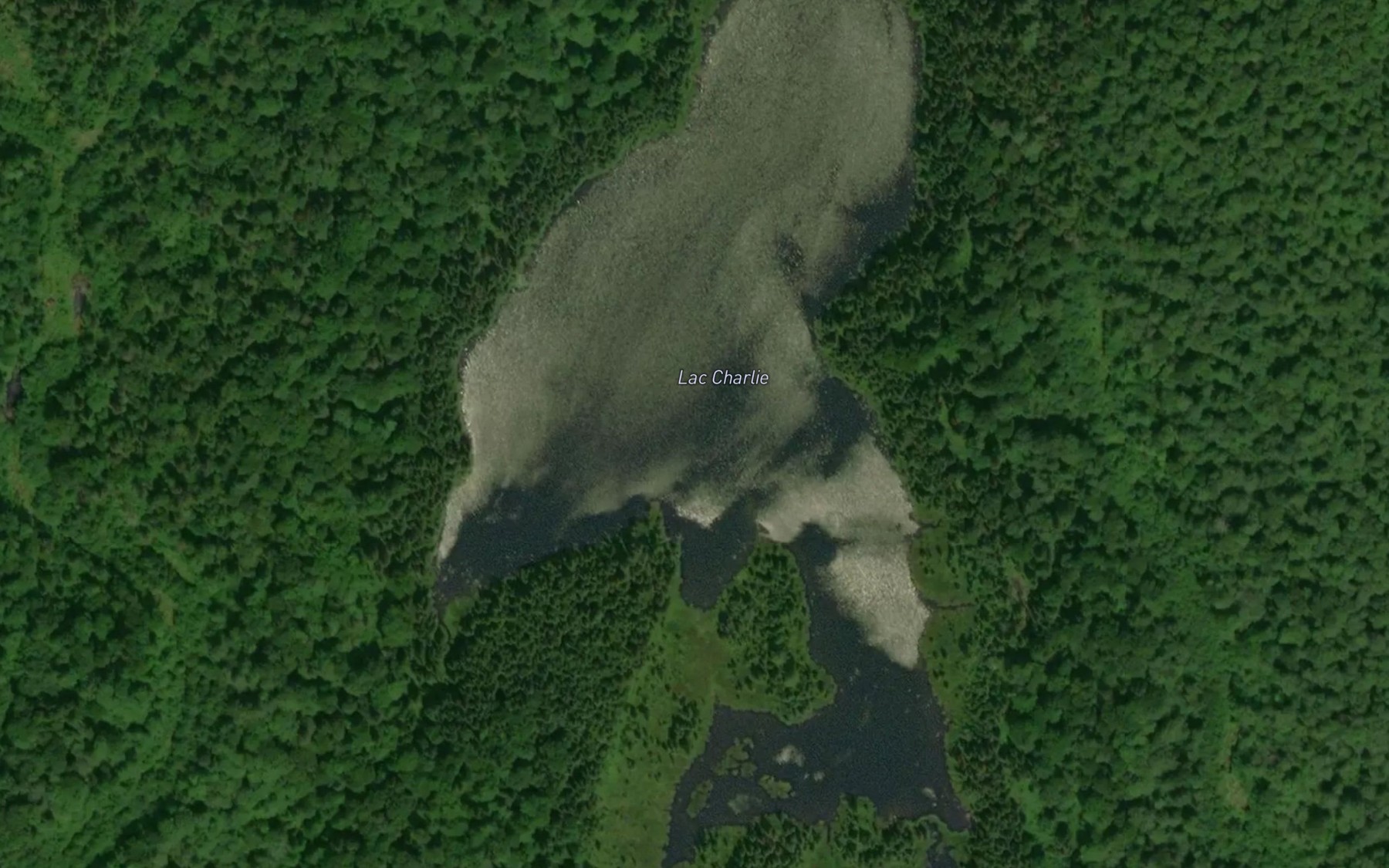 Satellite map of the Lac Charlie
