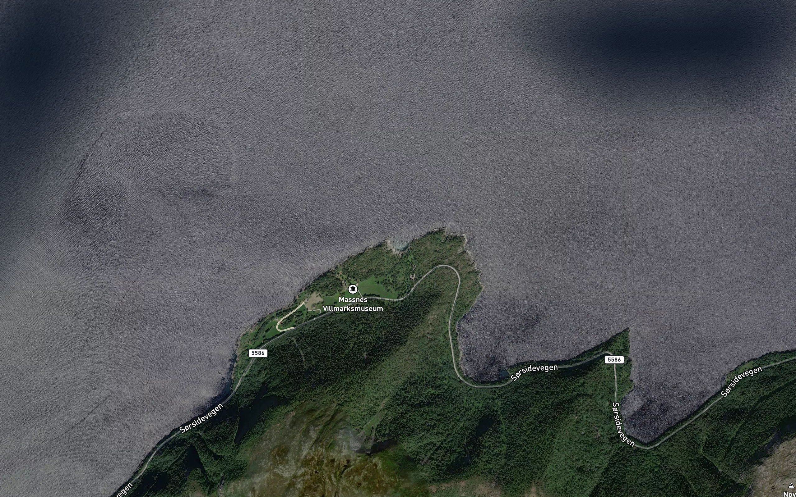 Kveitevika