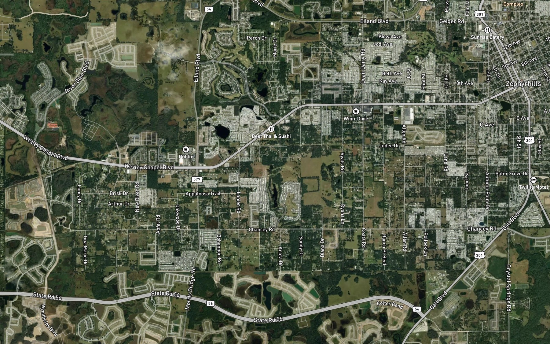 Satellite map of the Halfway Pond