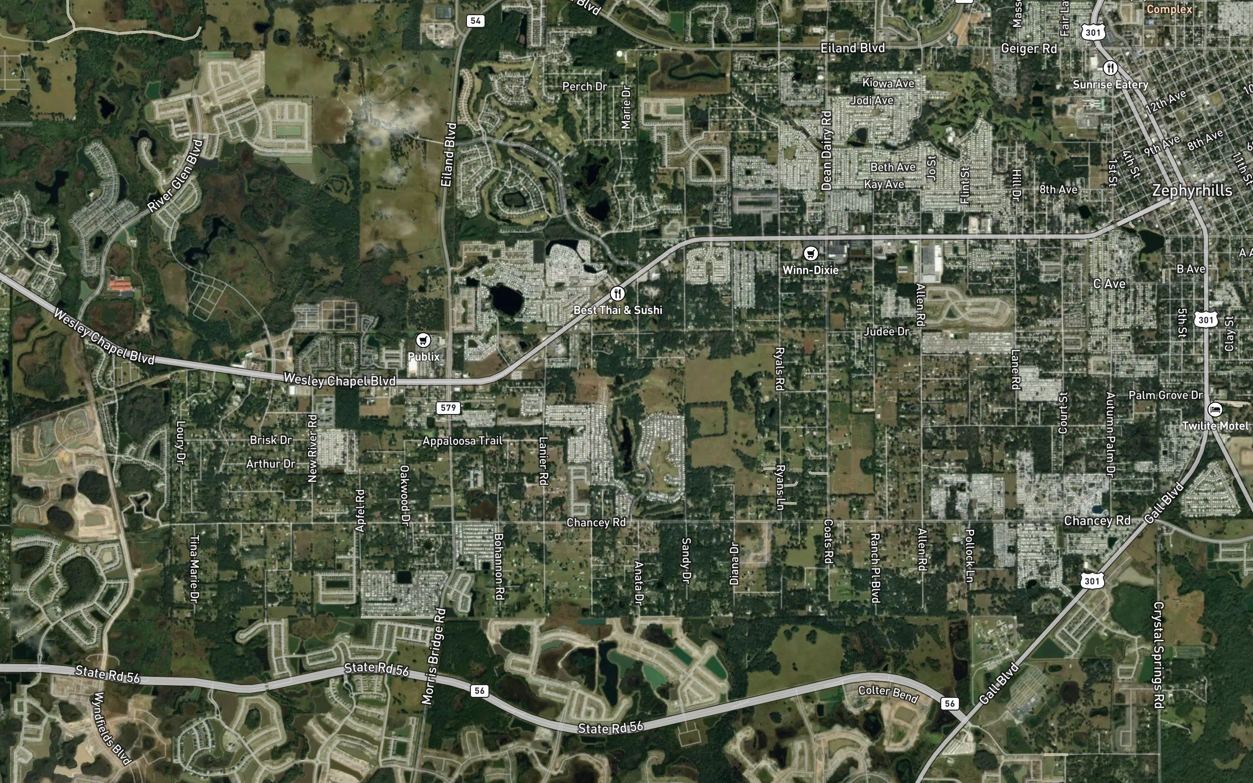 Halfway Pond