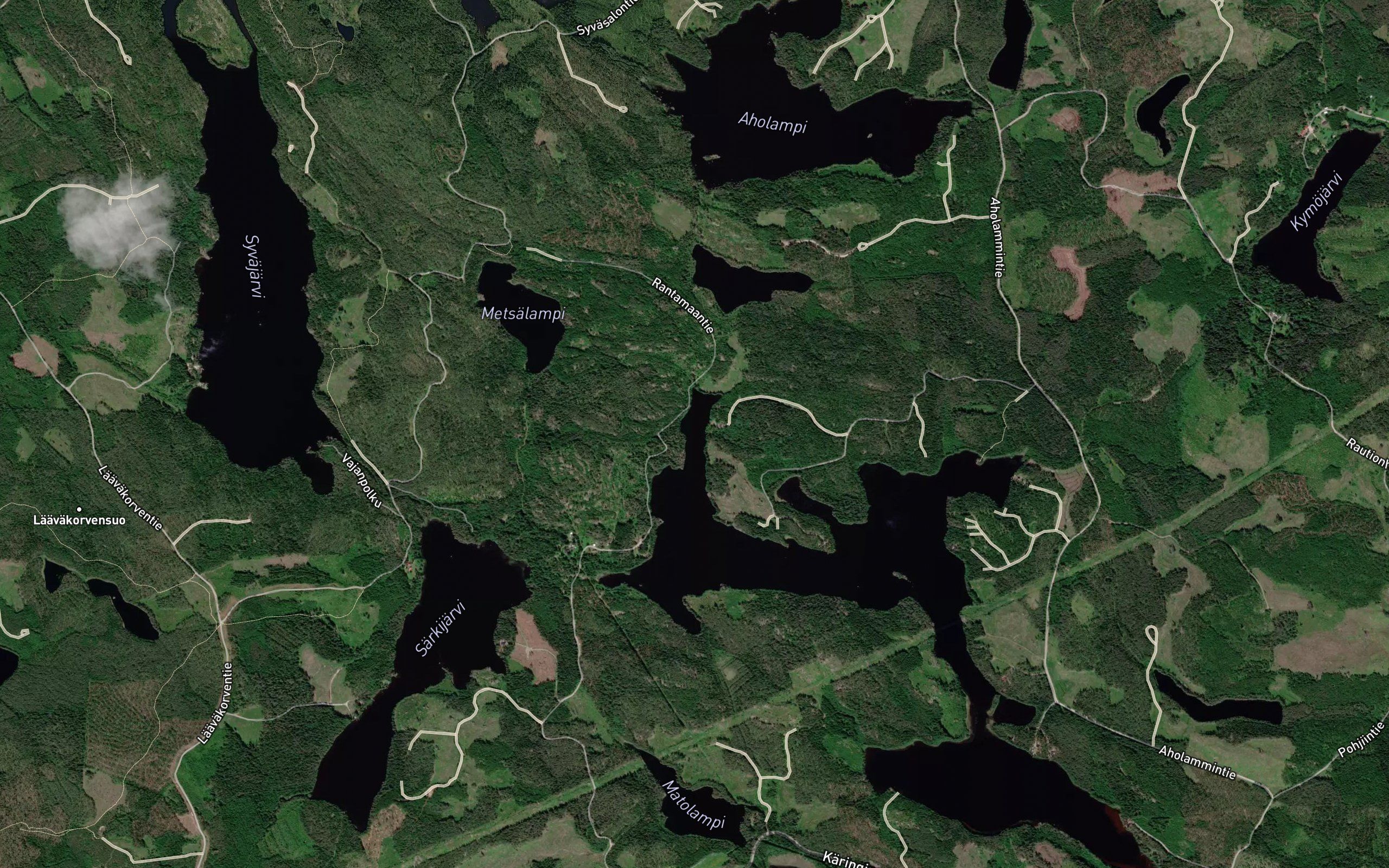 Kurikkalahti