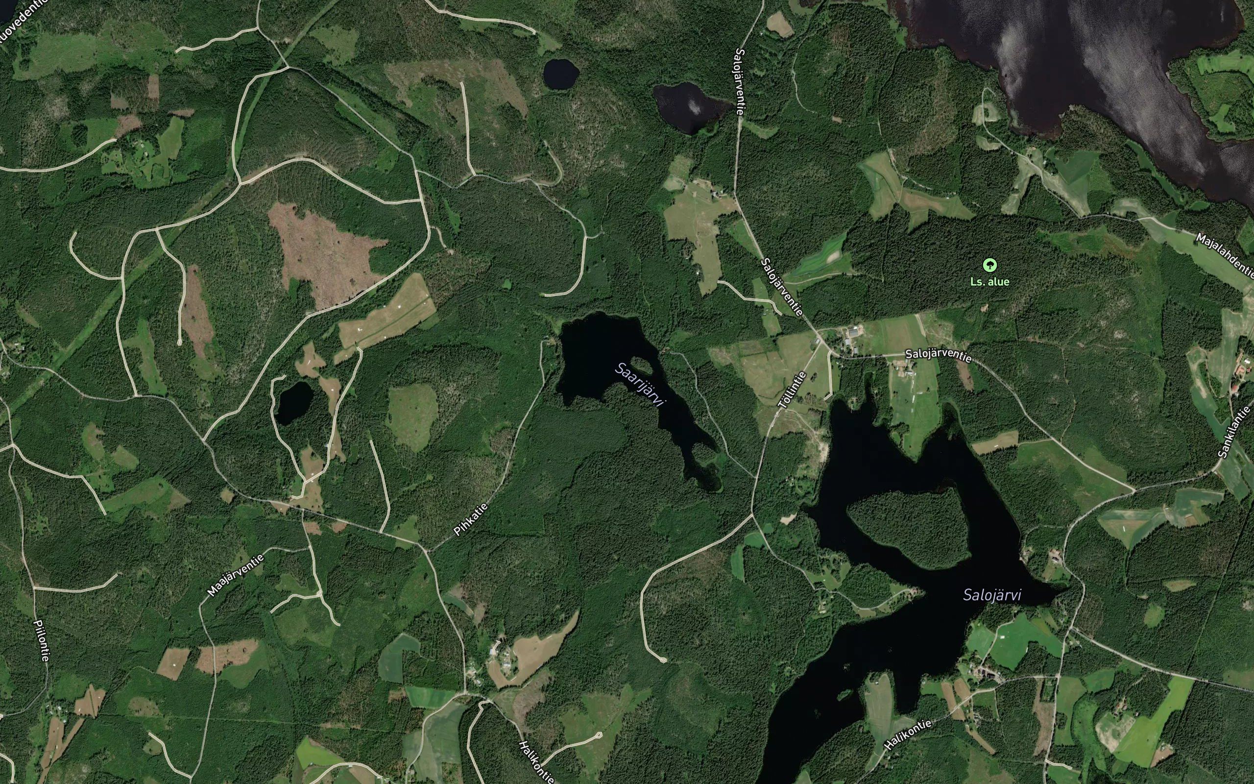 Halikonoja