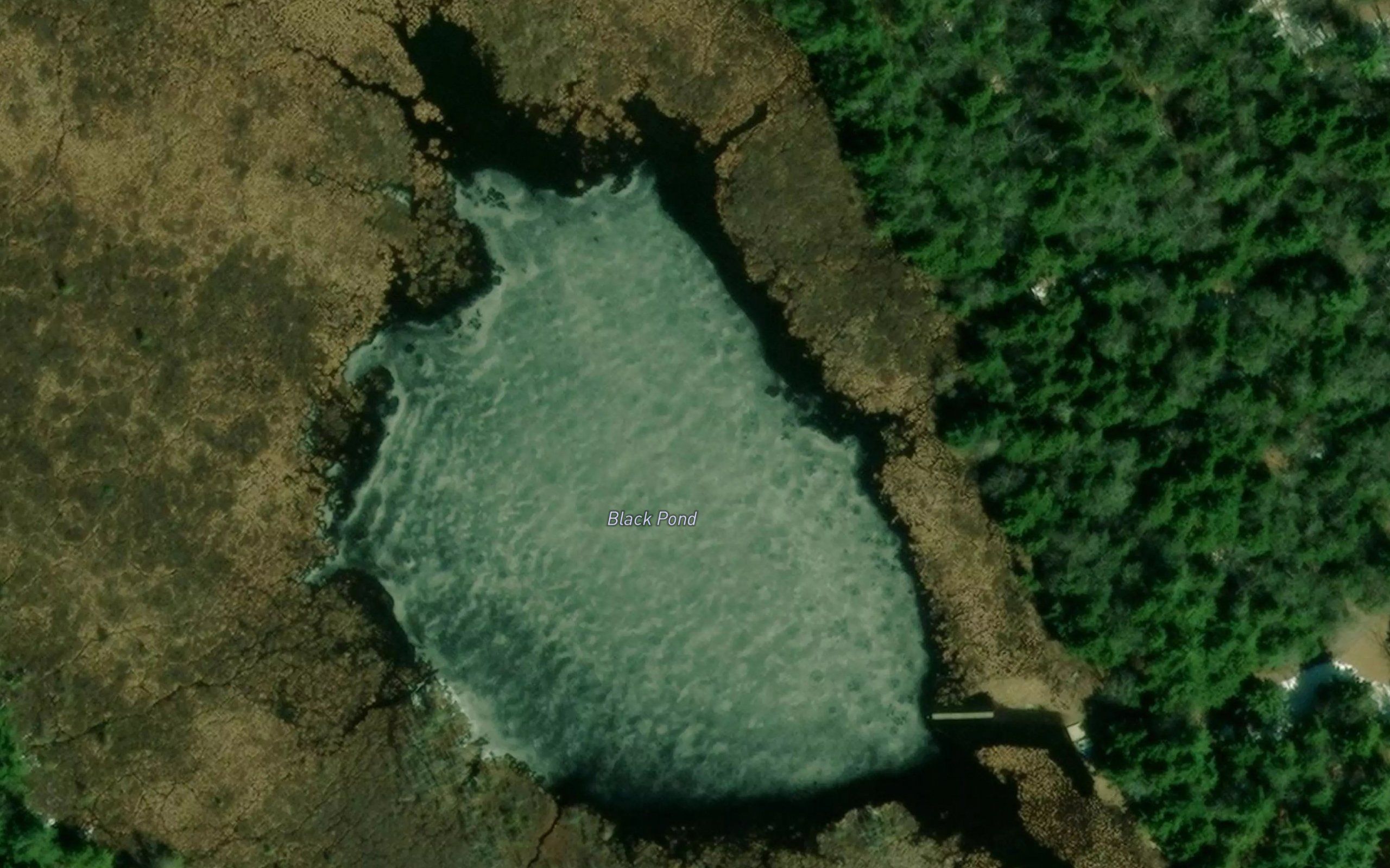 Black Pond