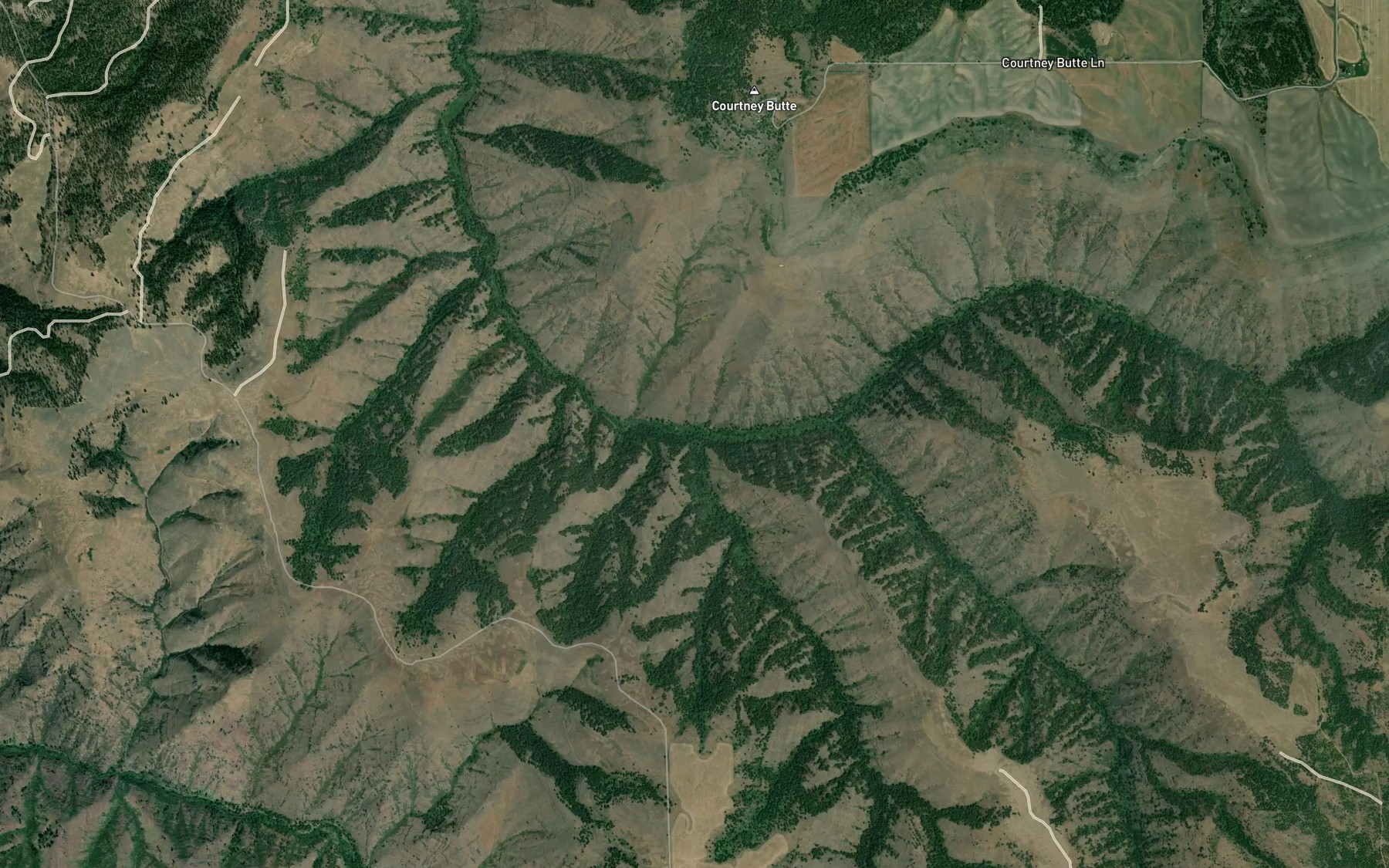Satellite map of the Bobcat Creek