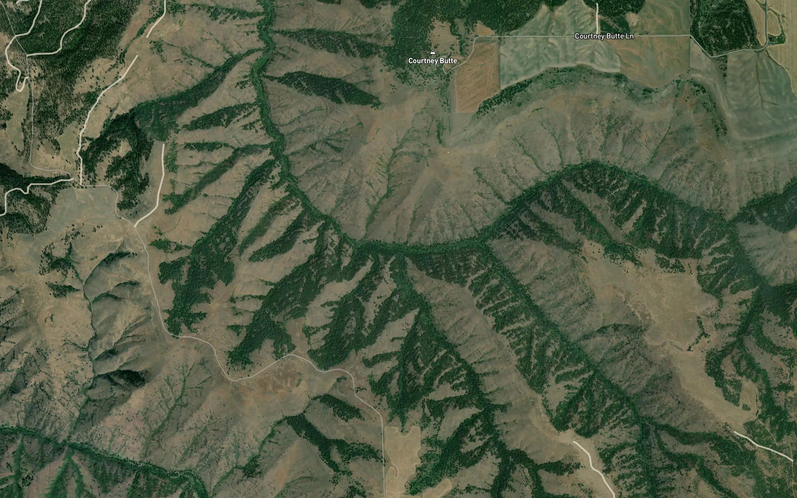 Bobcat Creek