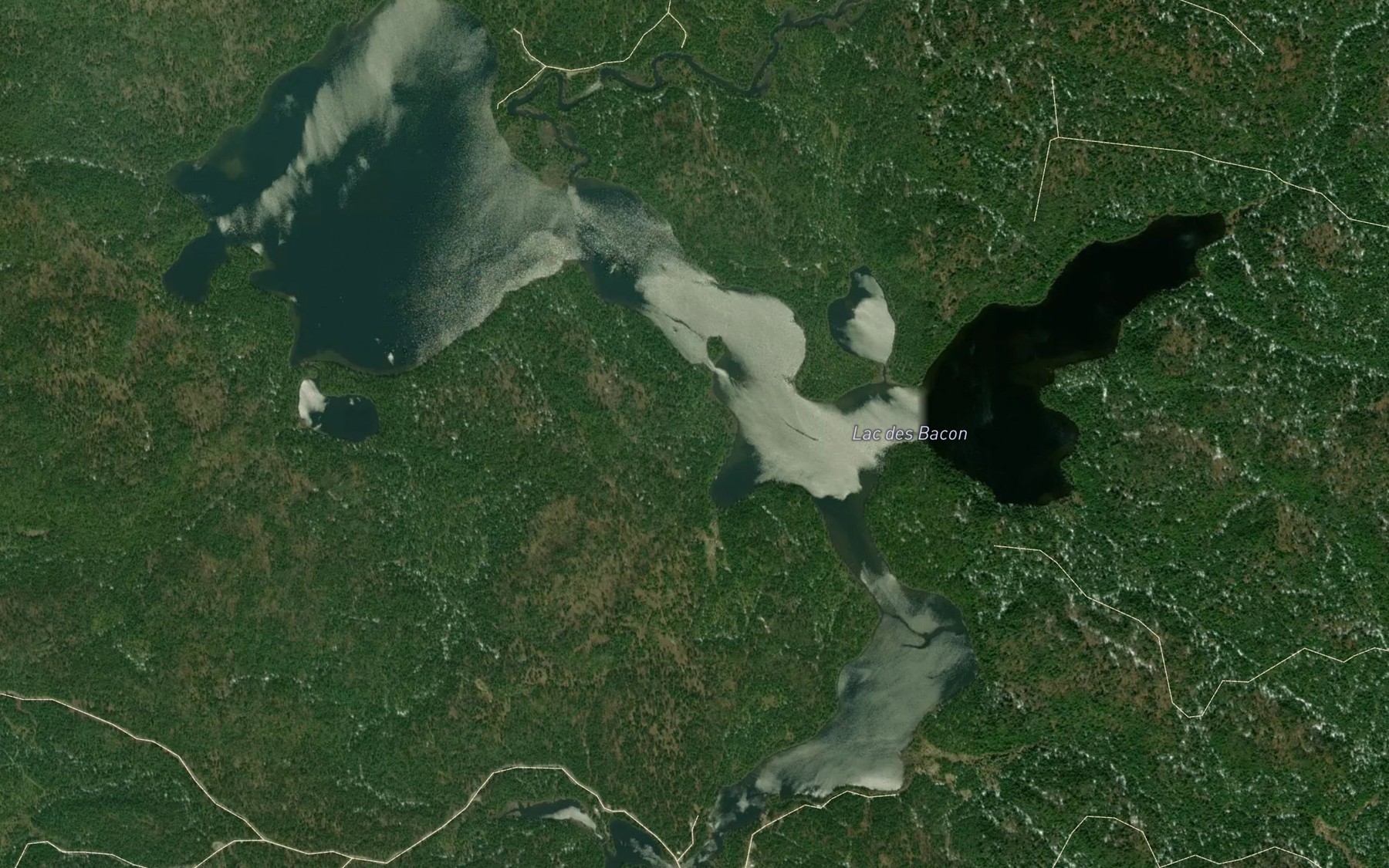 Satellite map of the Lac des Bacon