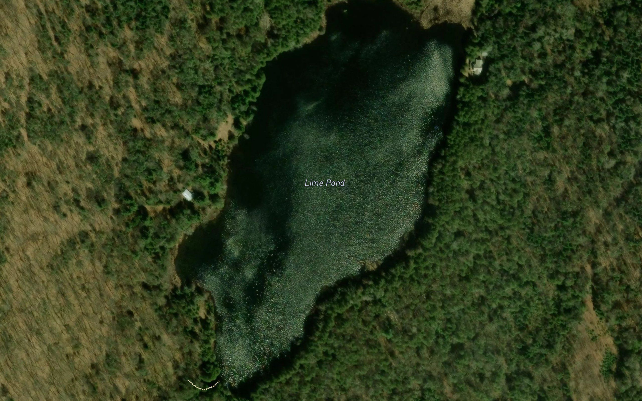Lime Pond