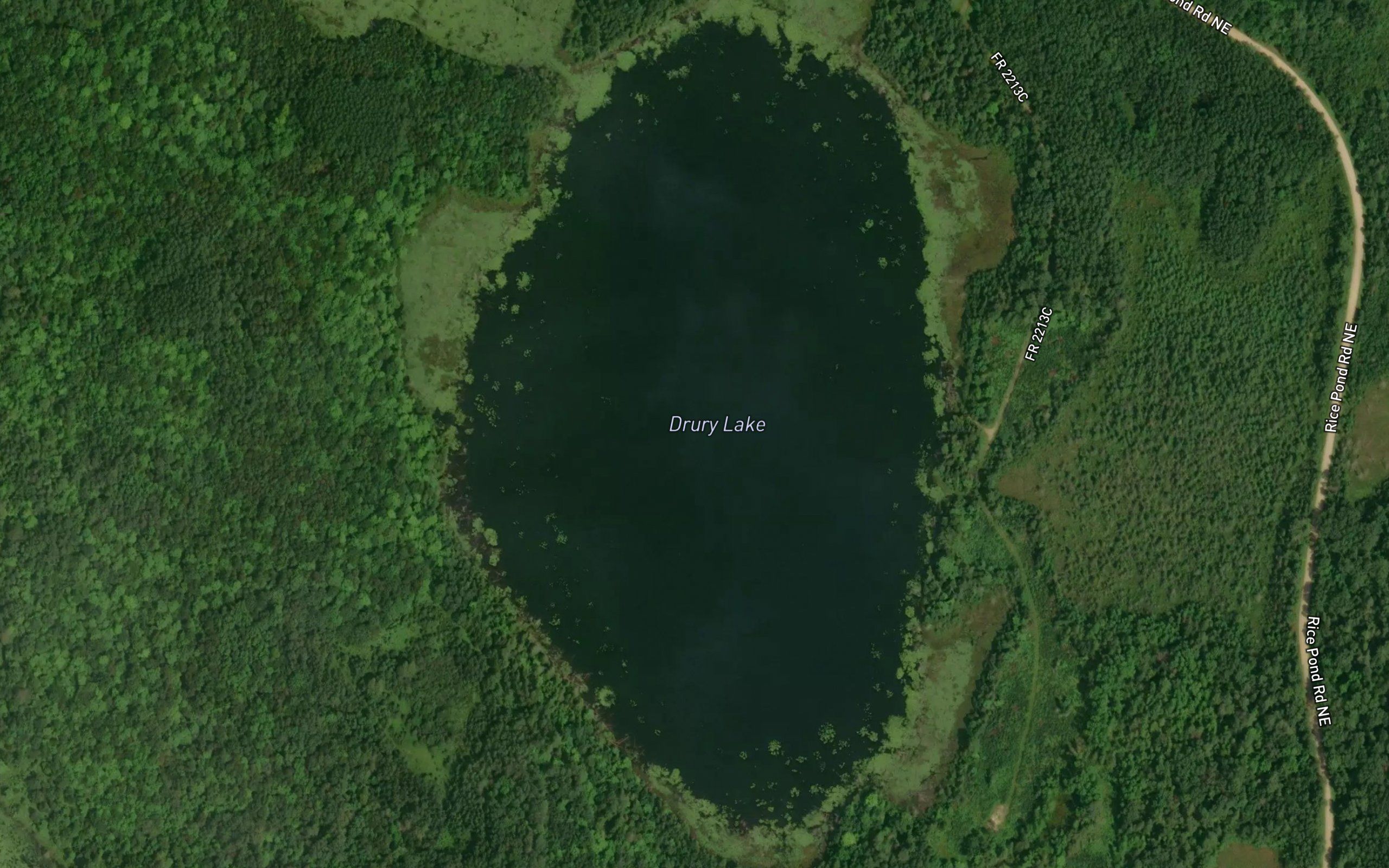 Drury Lake