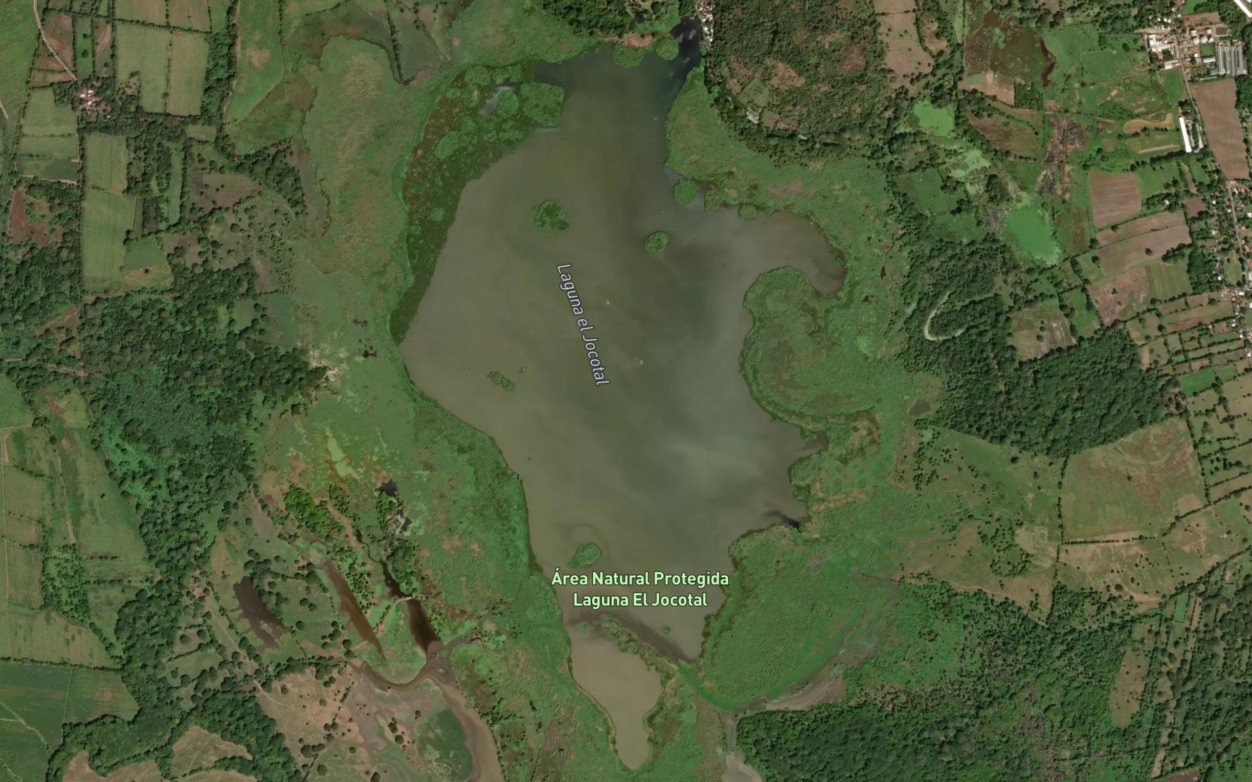 Laguna El Jocotal