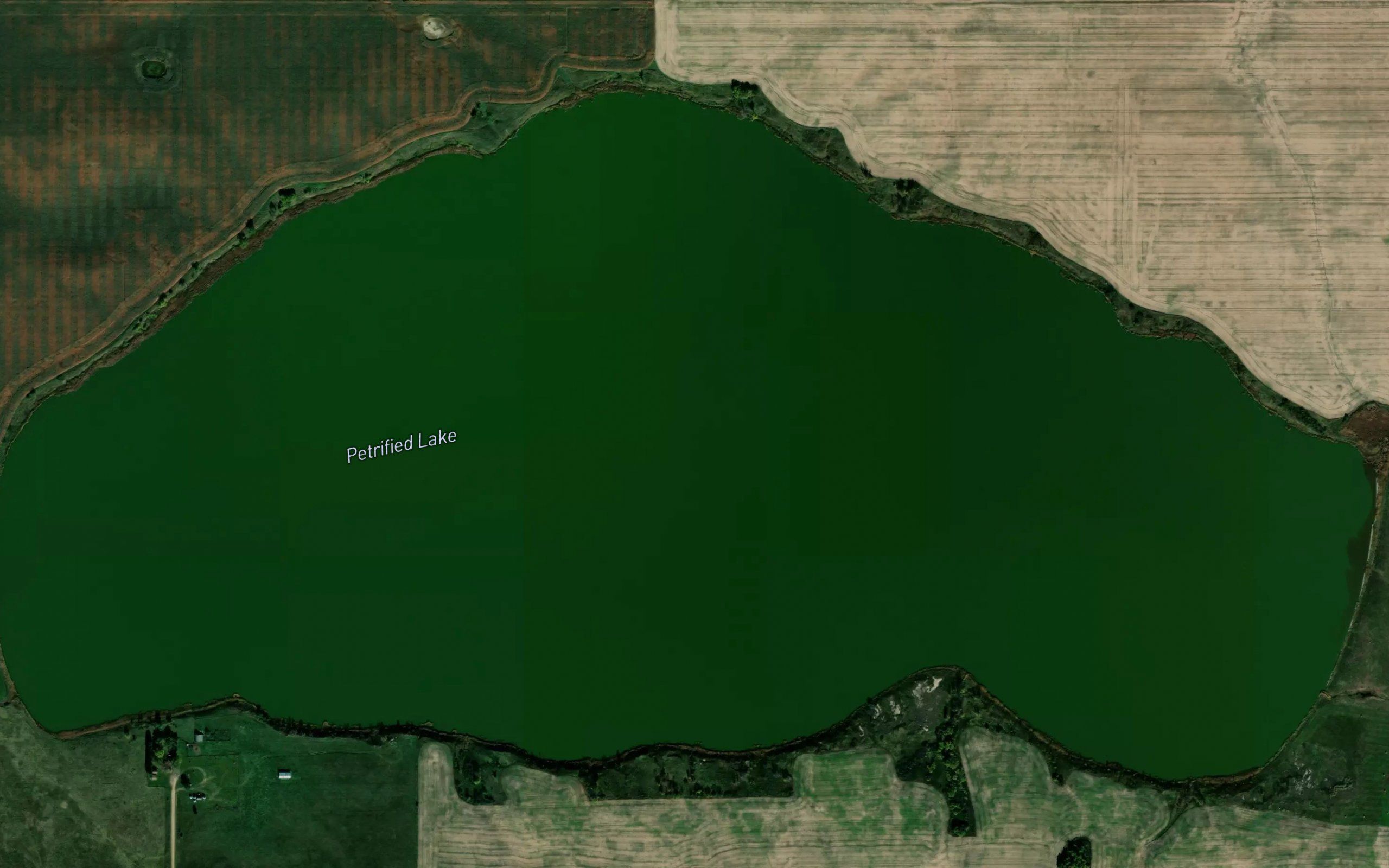 Petrified Lake