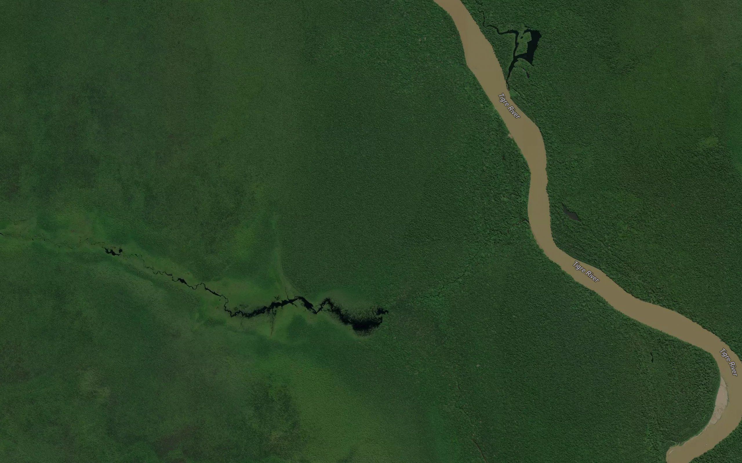 Quebrada Ungurahue