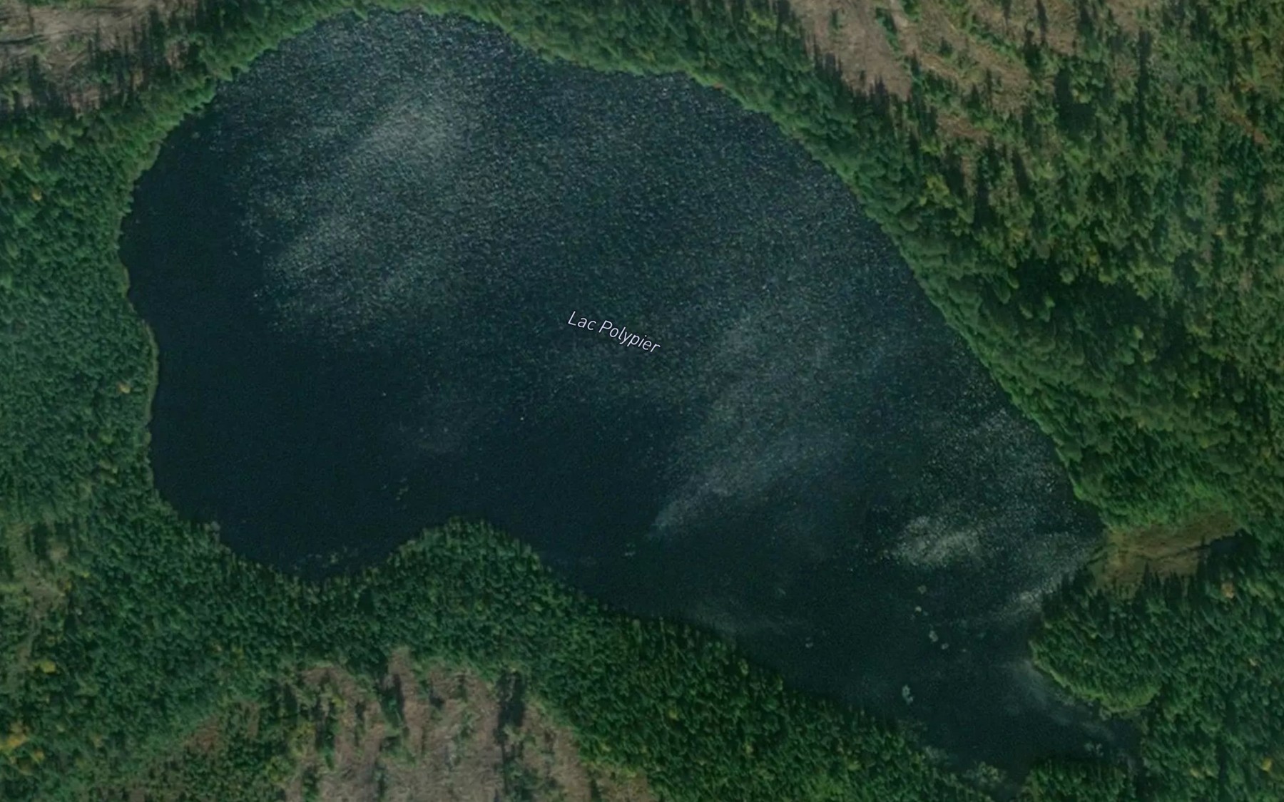 Satellite map of the Lac Polypier