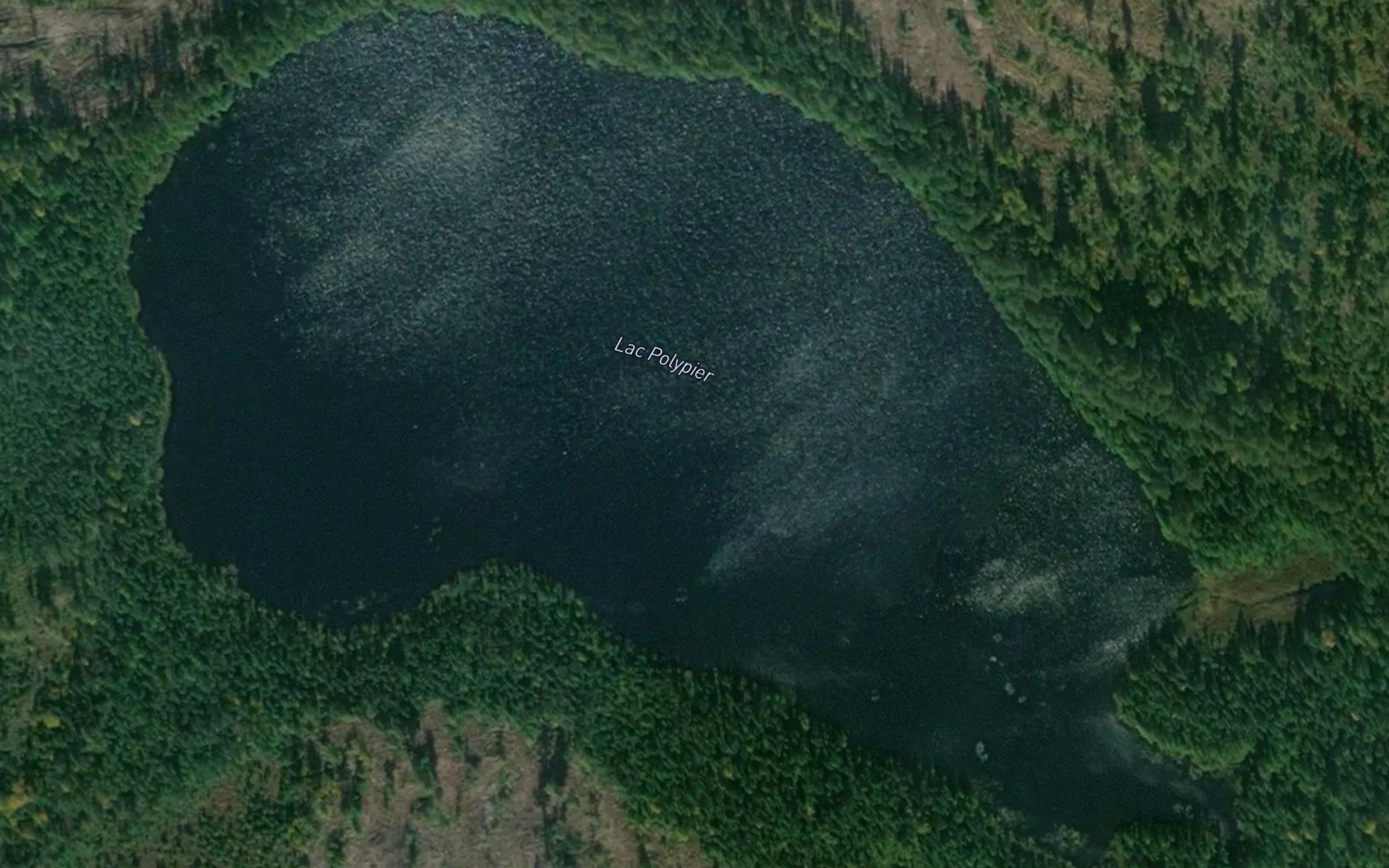 Lac Polypier