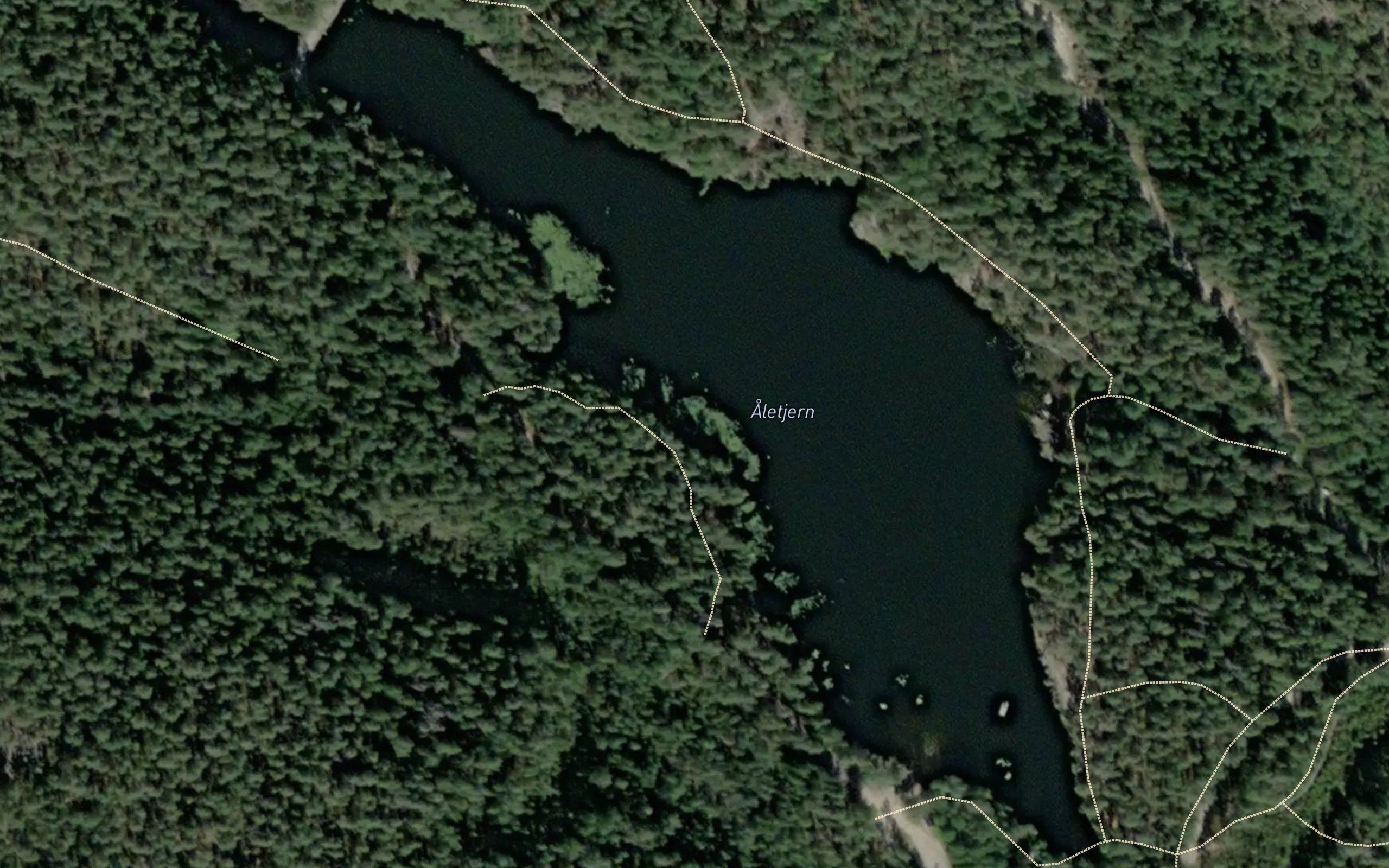 Aletjern