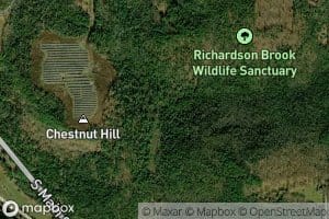 Richardson Brook