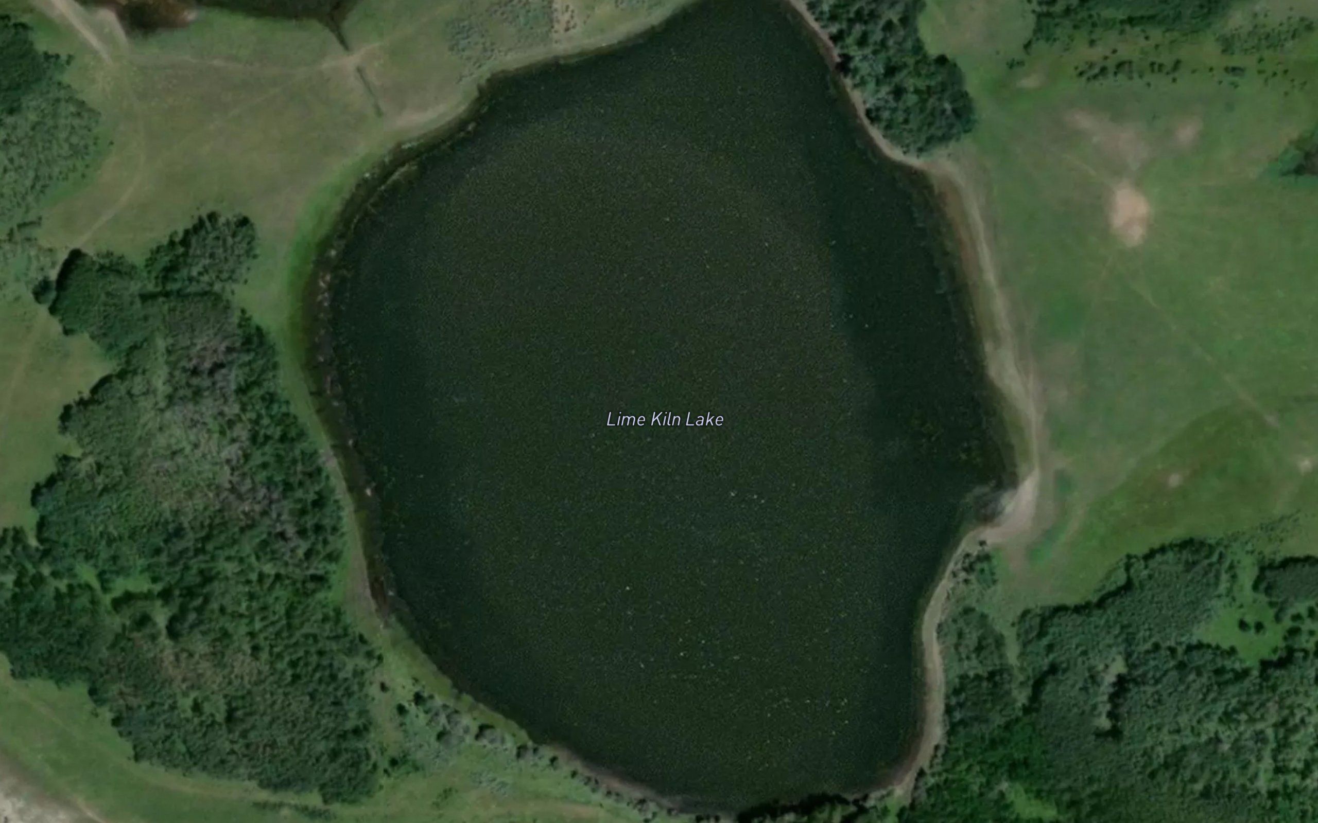 Lime Kiln Lake