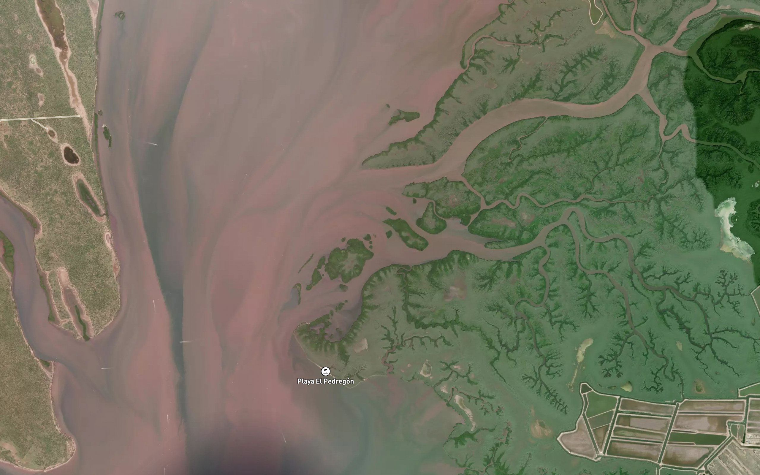 Estero La Mojarra