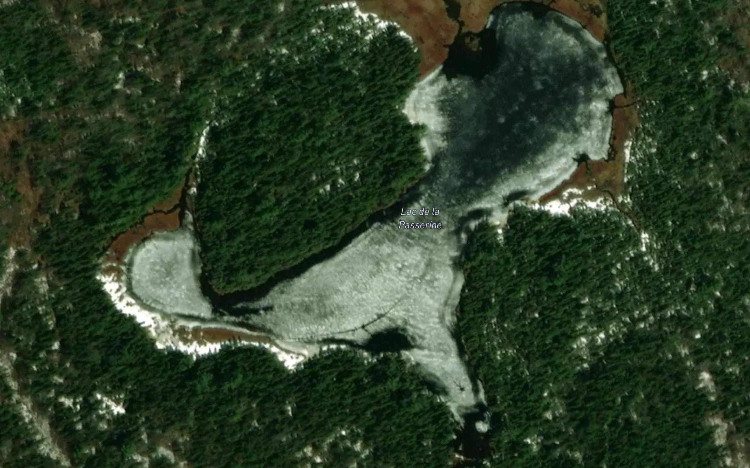 Lac de la Passerine