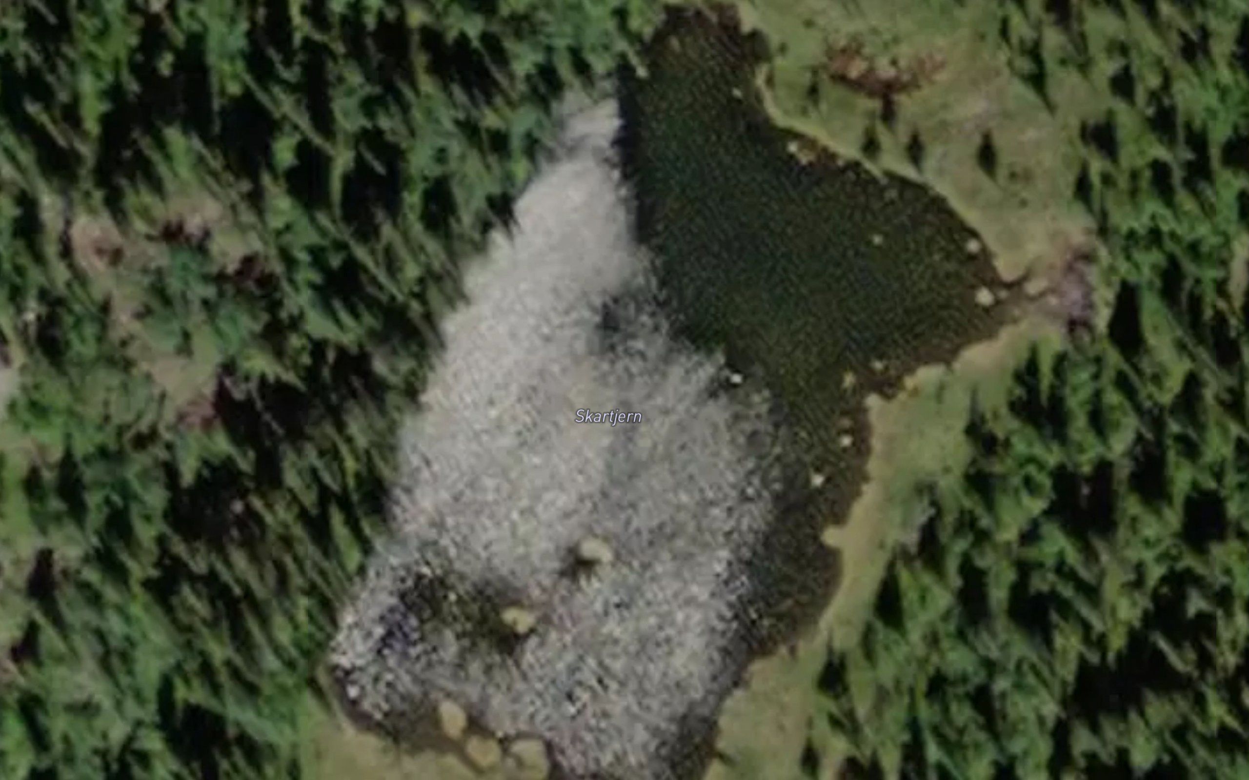 Skartjern