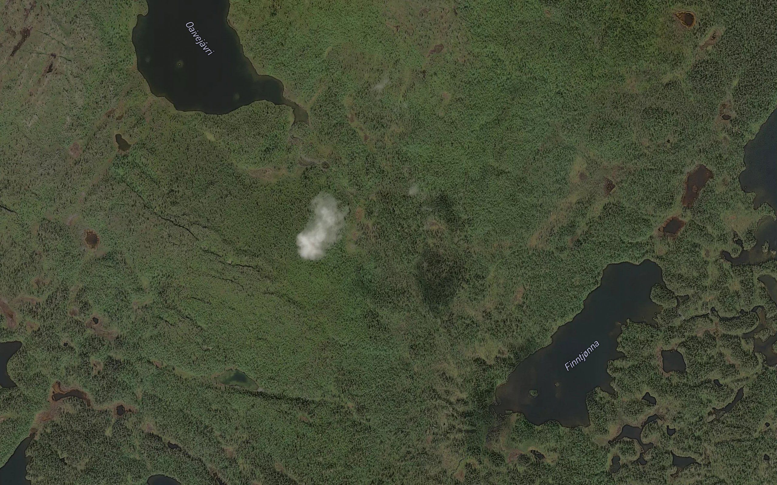 Oaivejohka