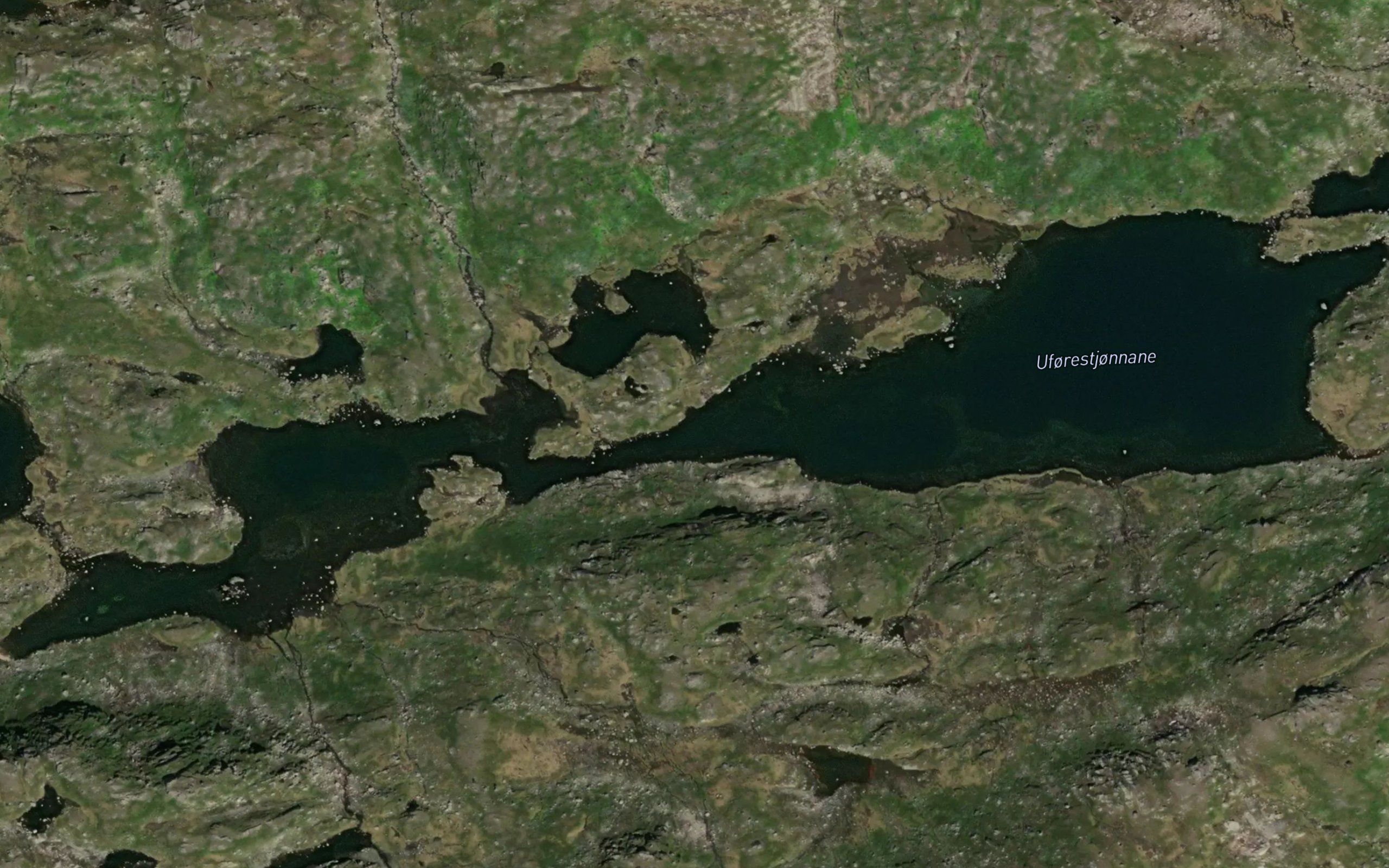 Uforstjornane