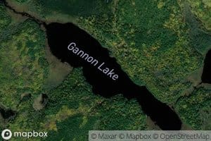 Gannon Lake