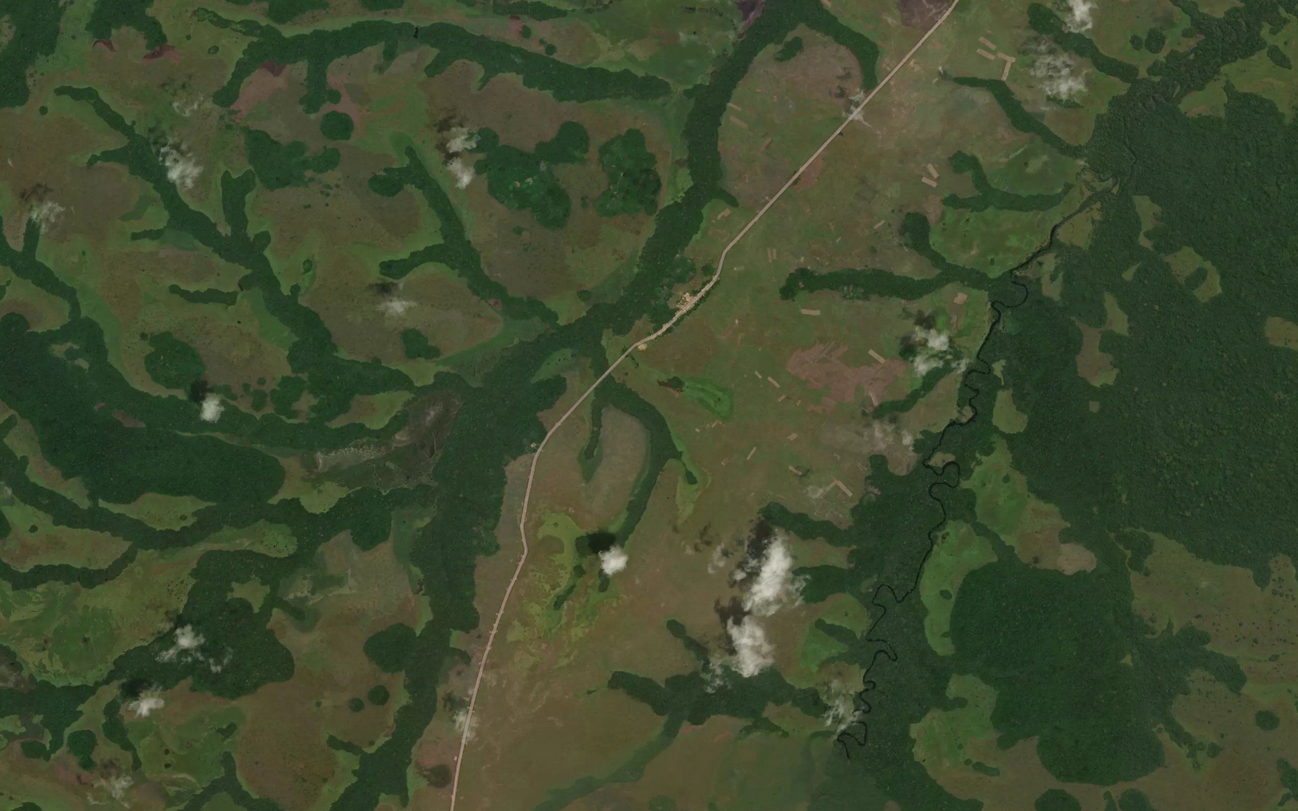 Essonga