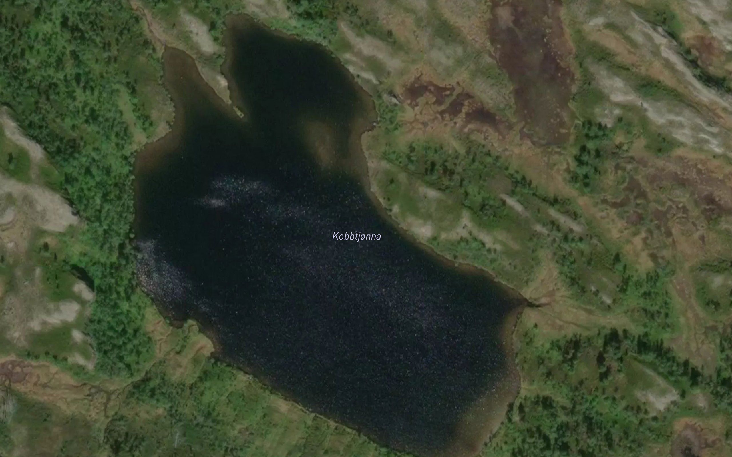 Kobbtjonna