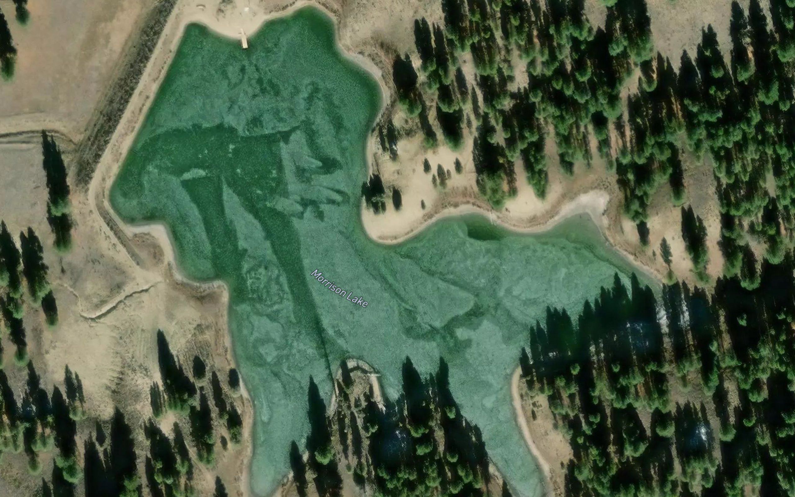 Morrison Lake