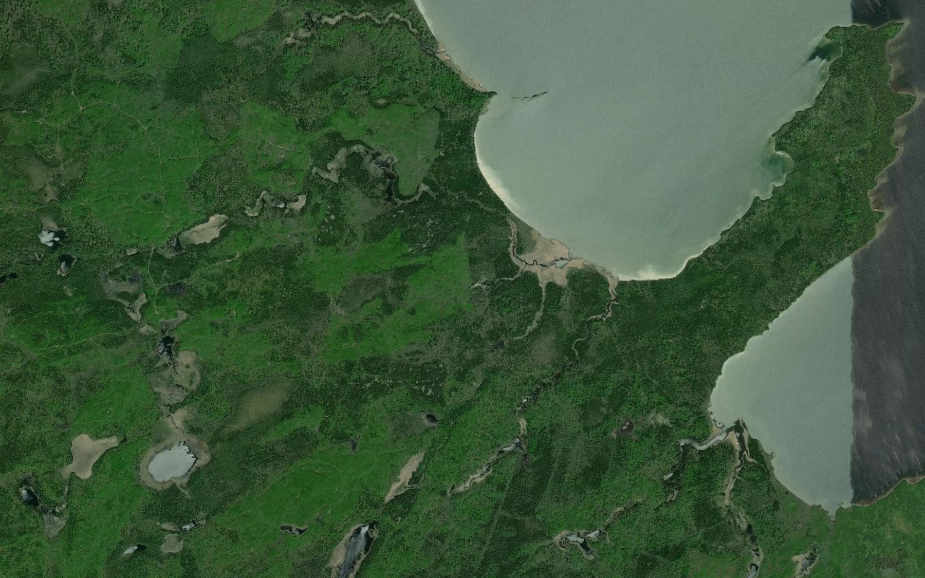 Satellite map of the Canister Creek