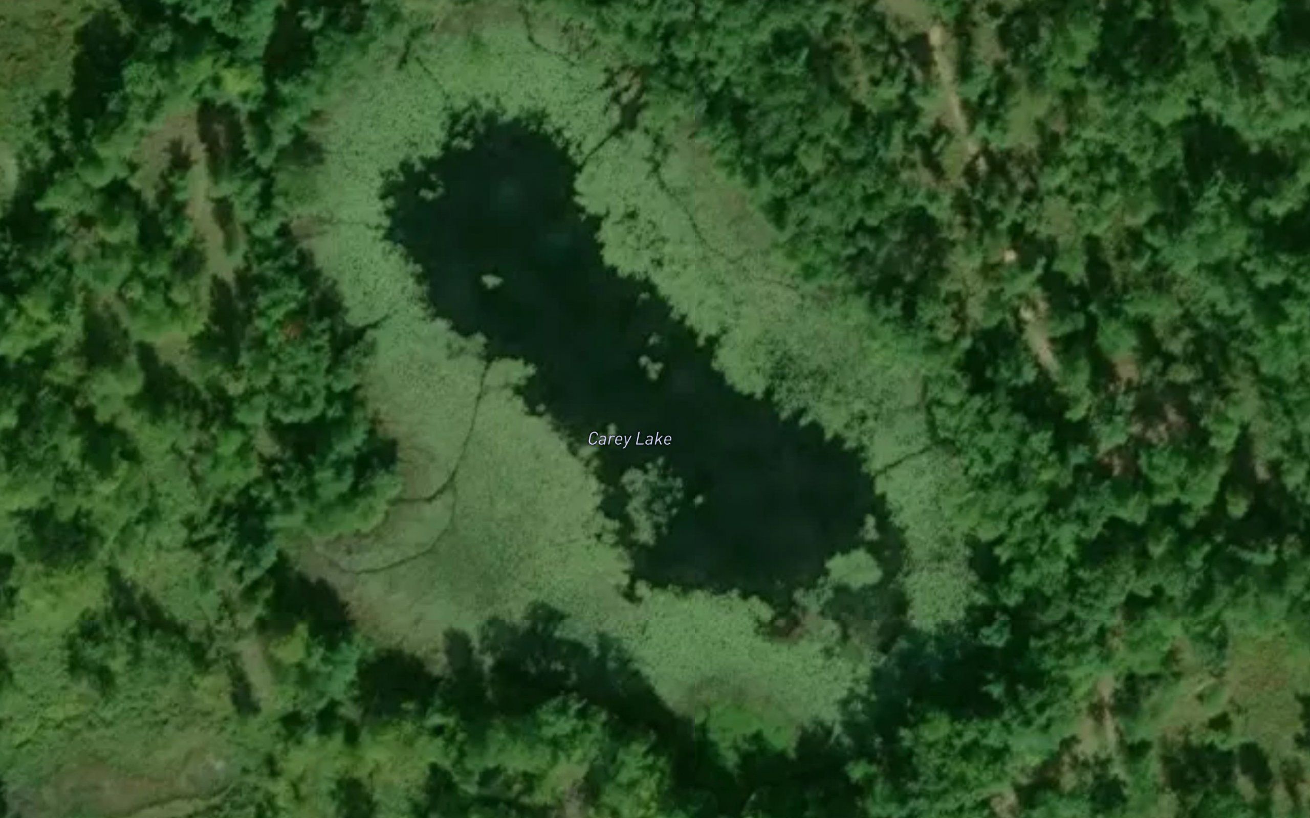 Carey Lake