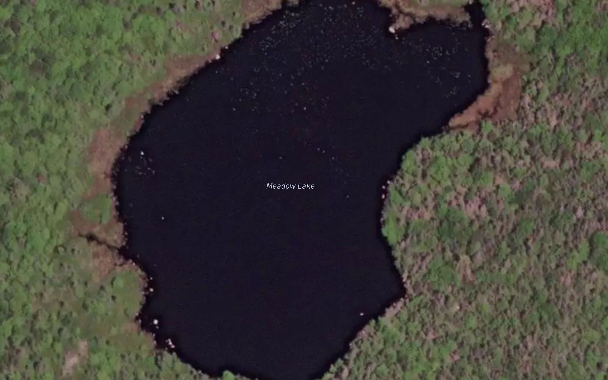 Meadow Lake