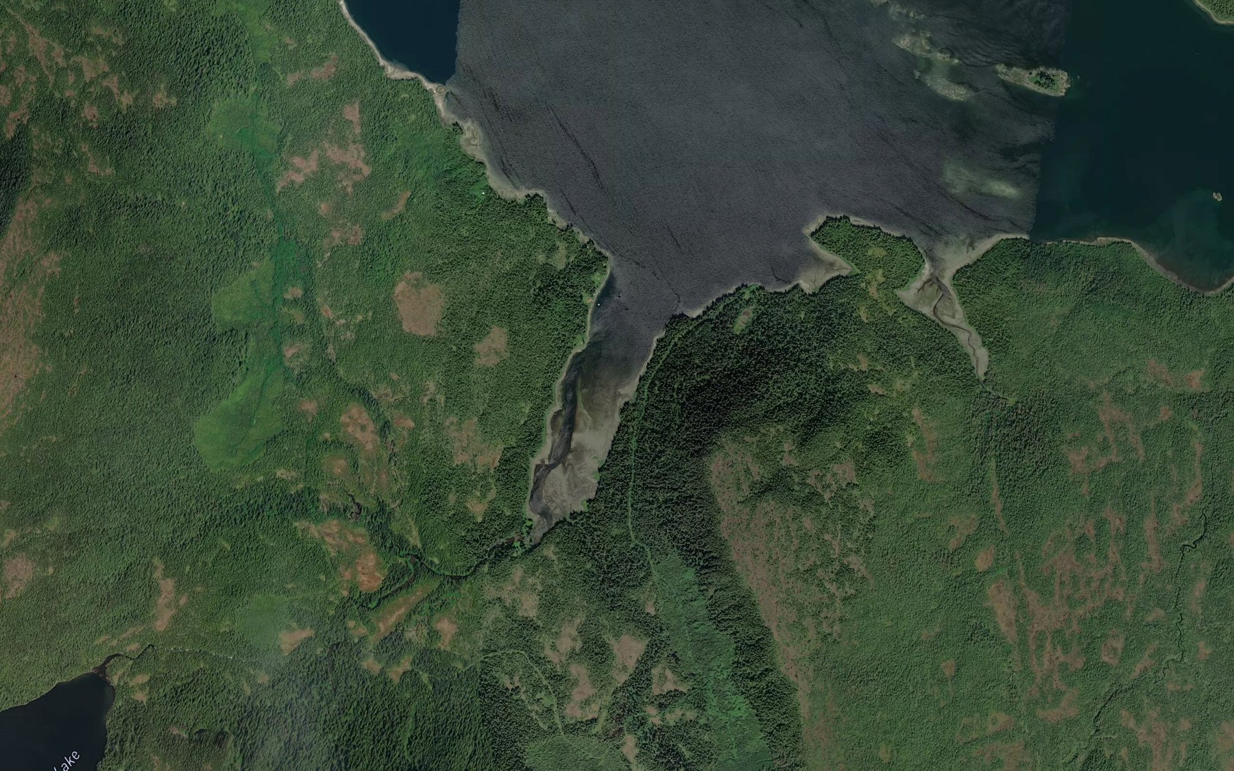 Satellite map of the Olive Cove