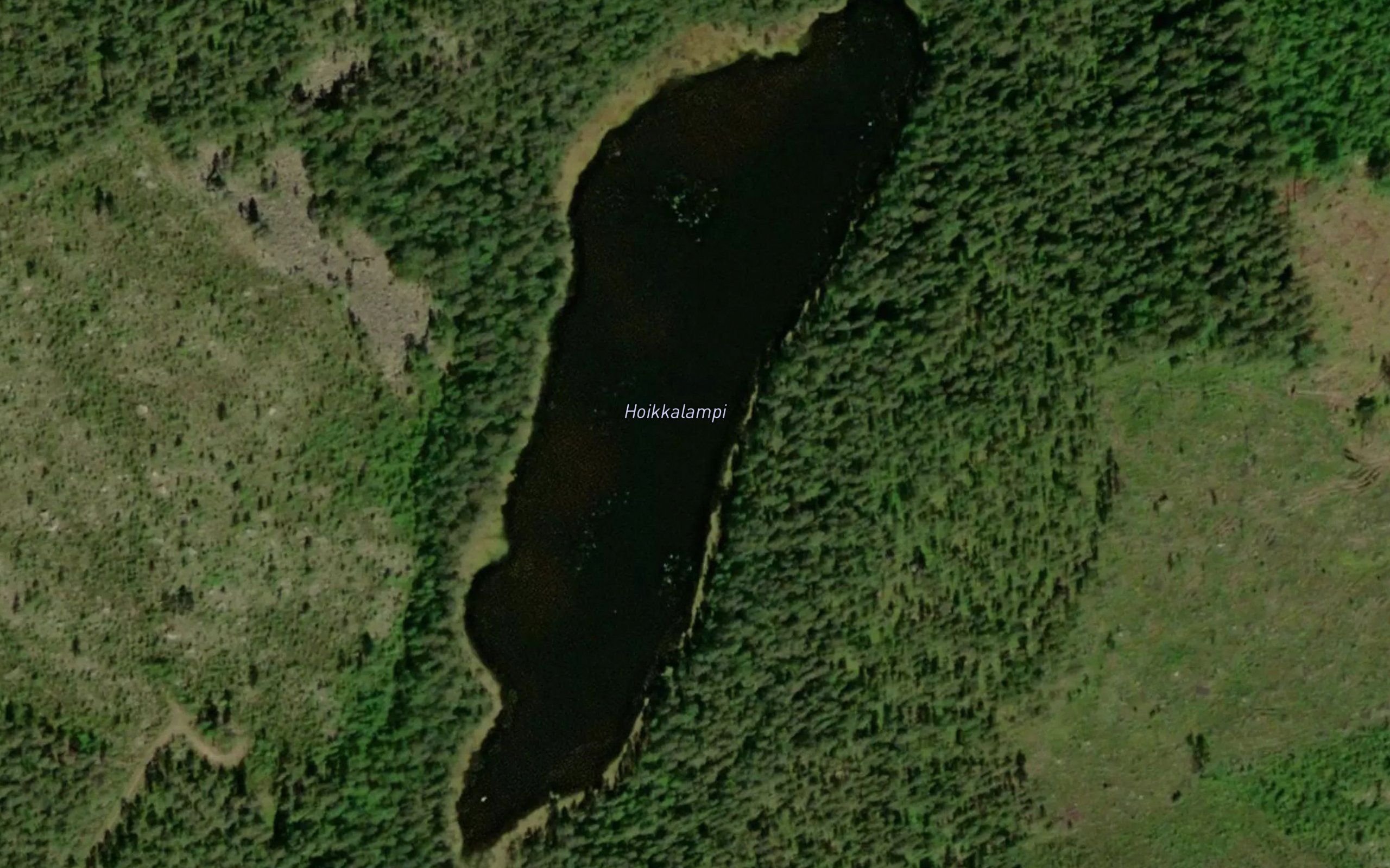 Hoikkalampi