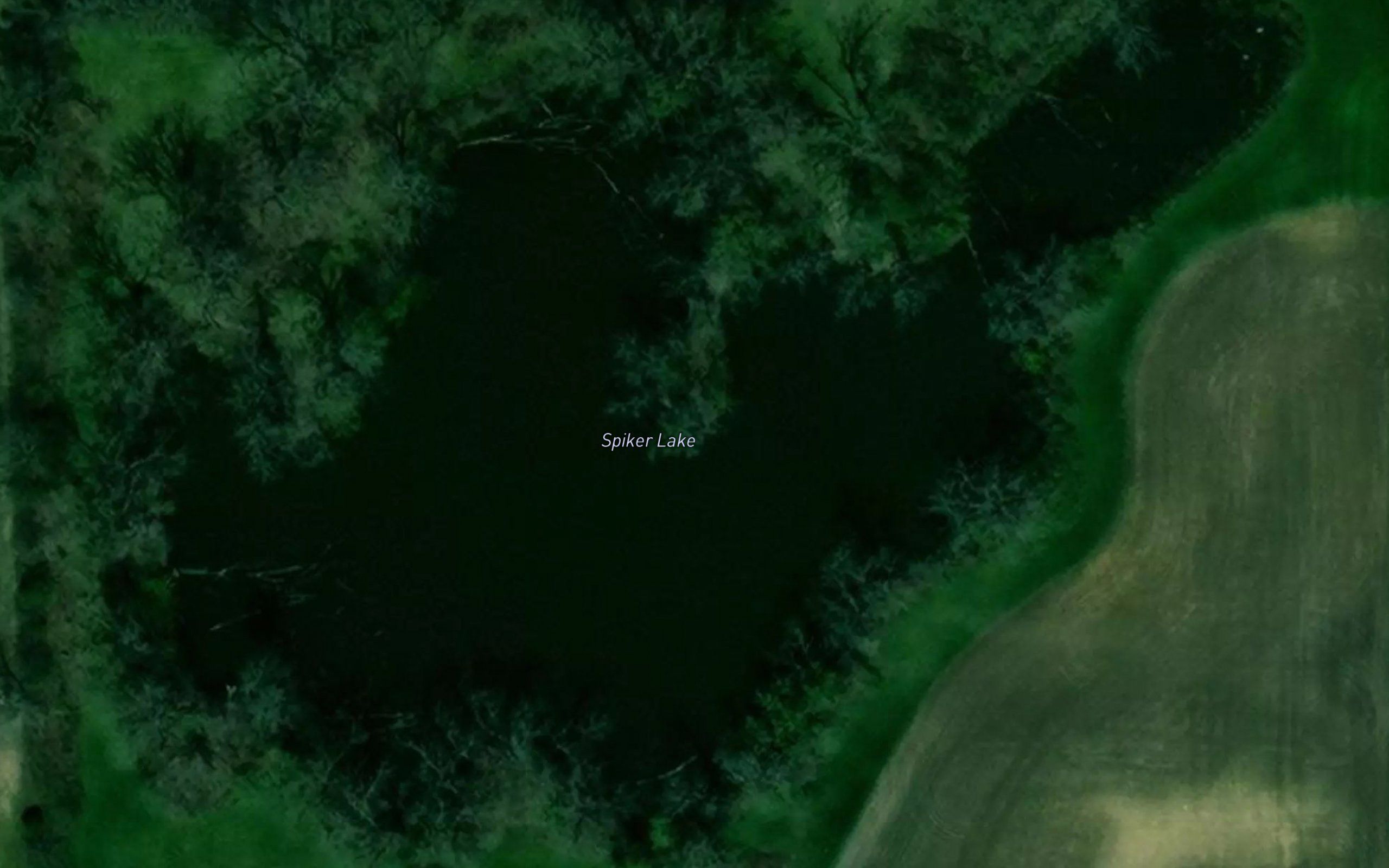 Spiker Lake