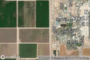 Elder Fourteen Drain