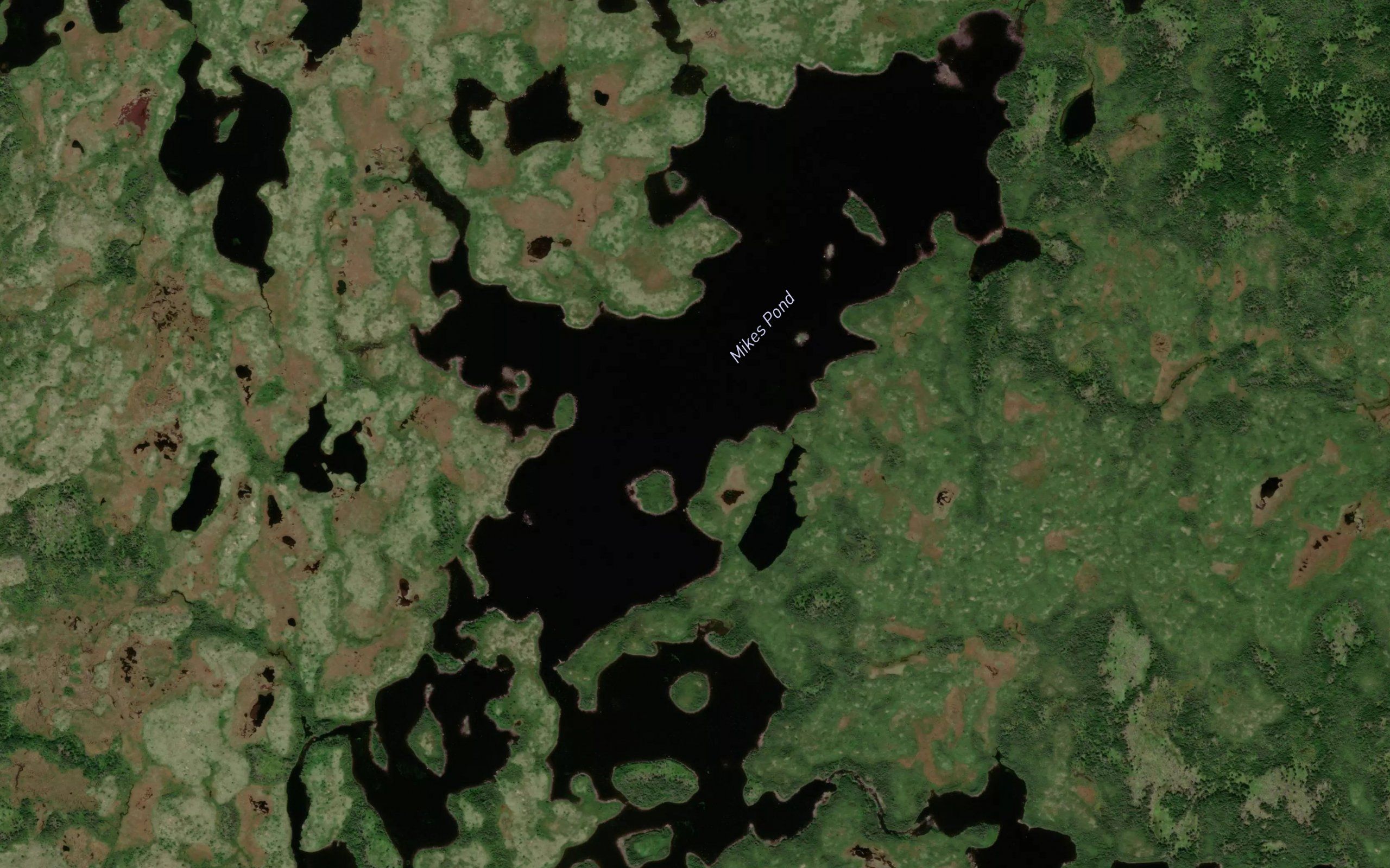 Mikes Pond