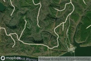 Satellite map of the Cypress Creek