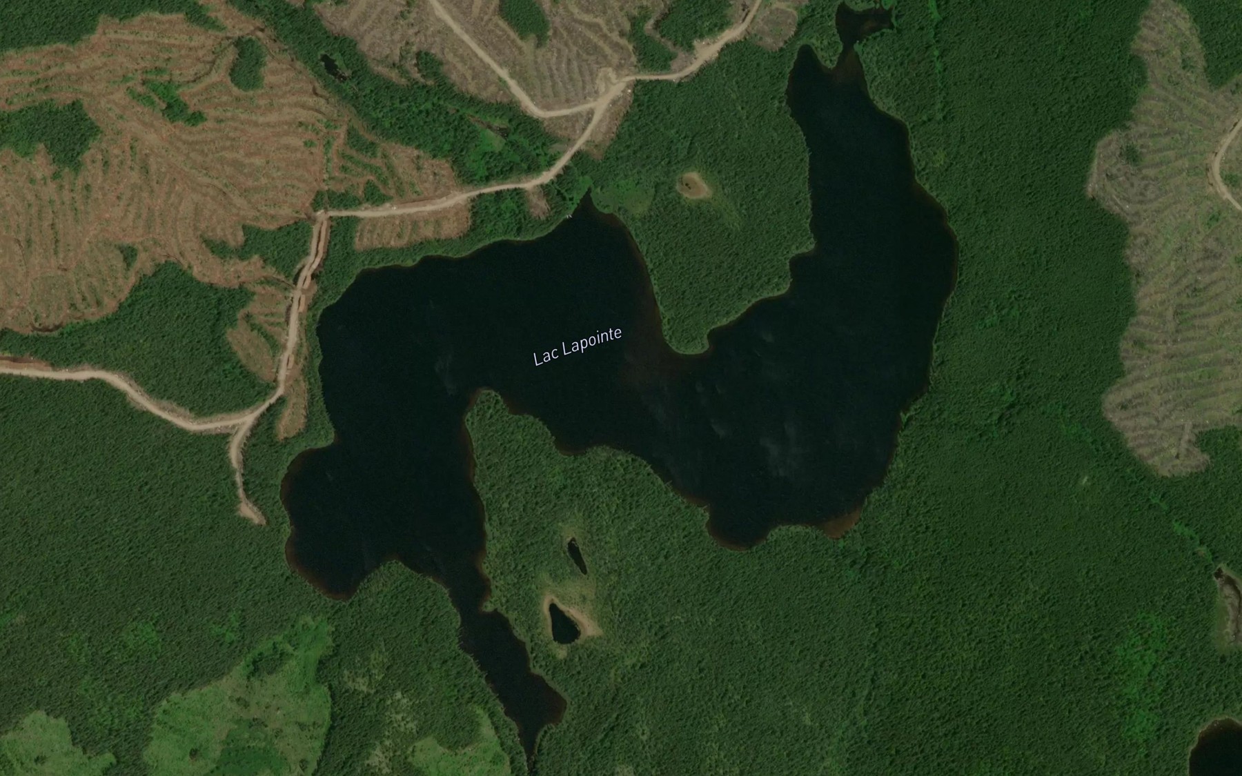 Satellite map of the Lac Lapointe