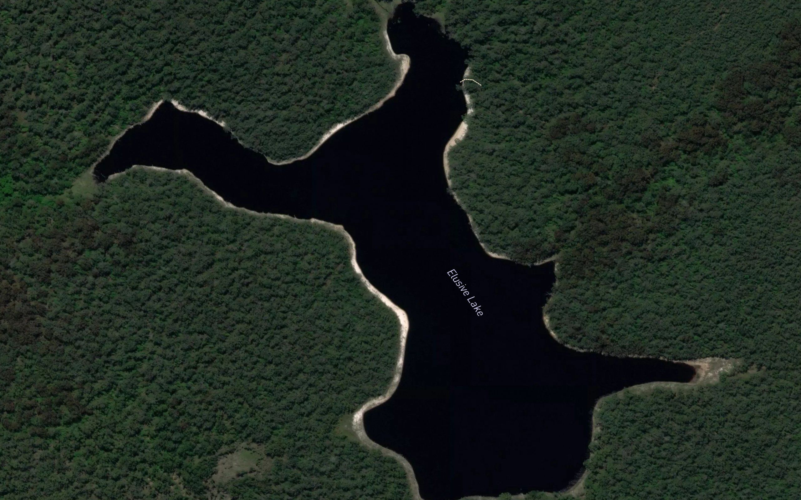 Elusive Lake
