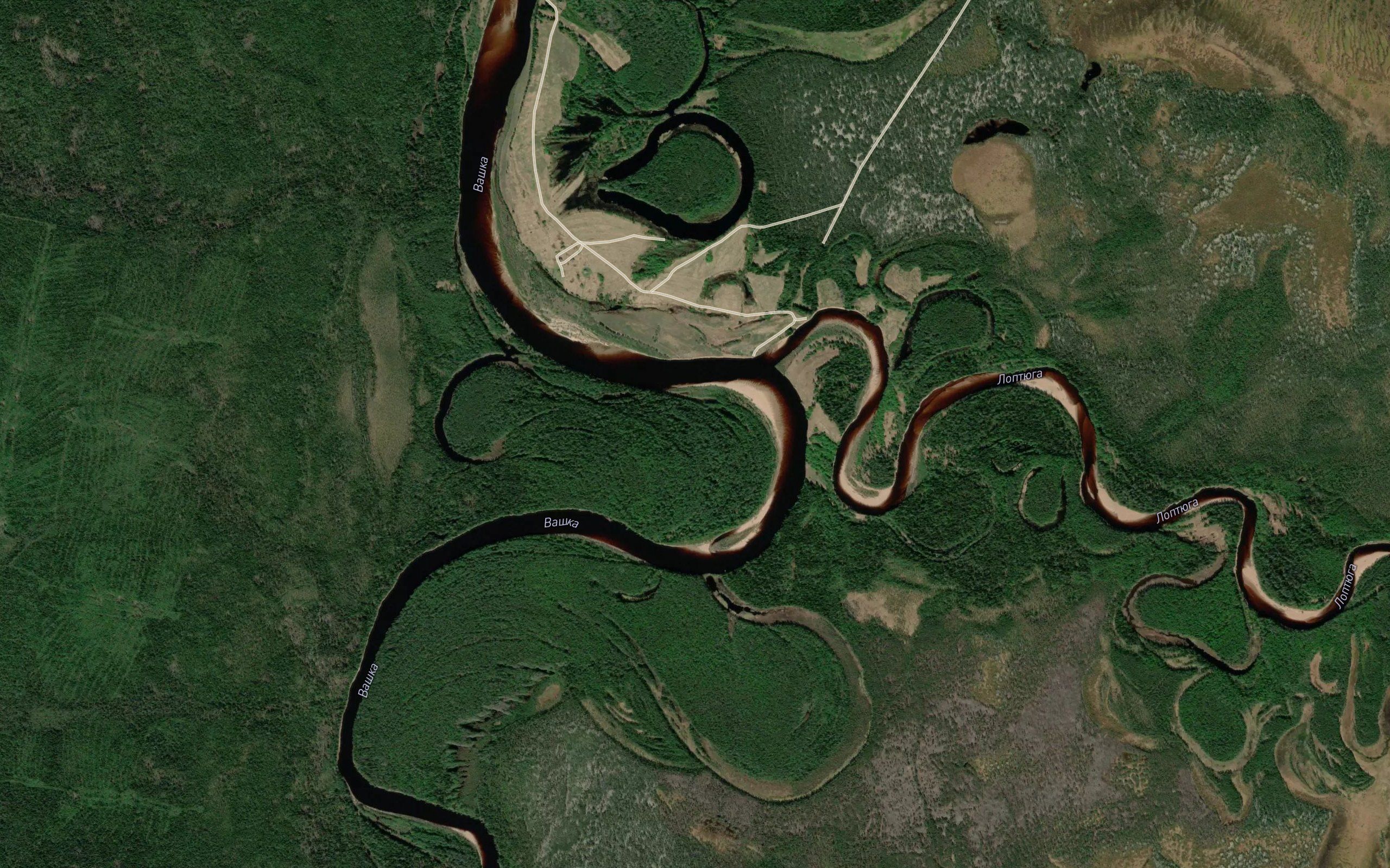Loptyuga