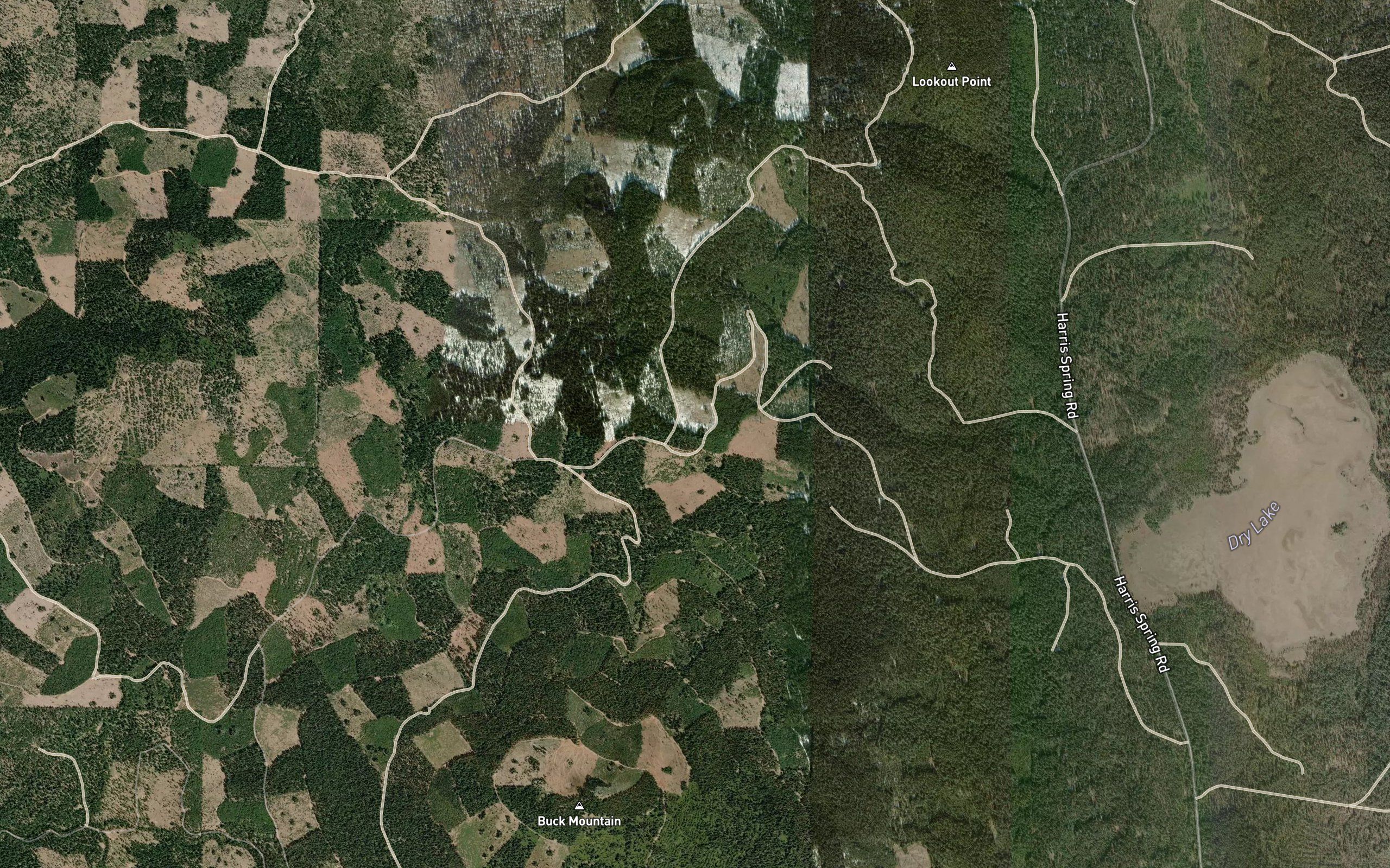 Point Spring