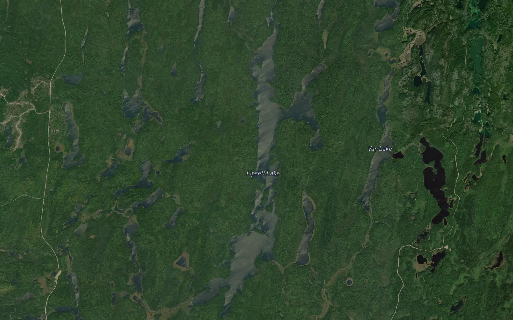 Satellite map of the Lipsett Lake