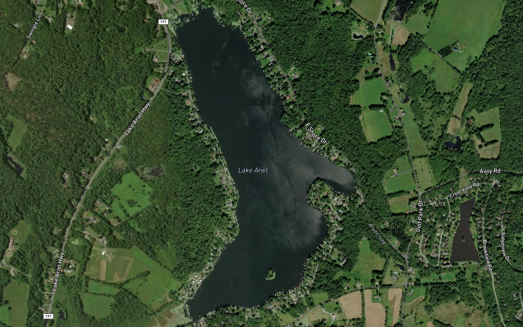 Satellite map of the Lake Ariel