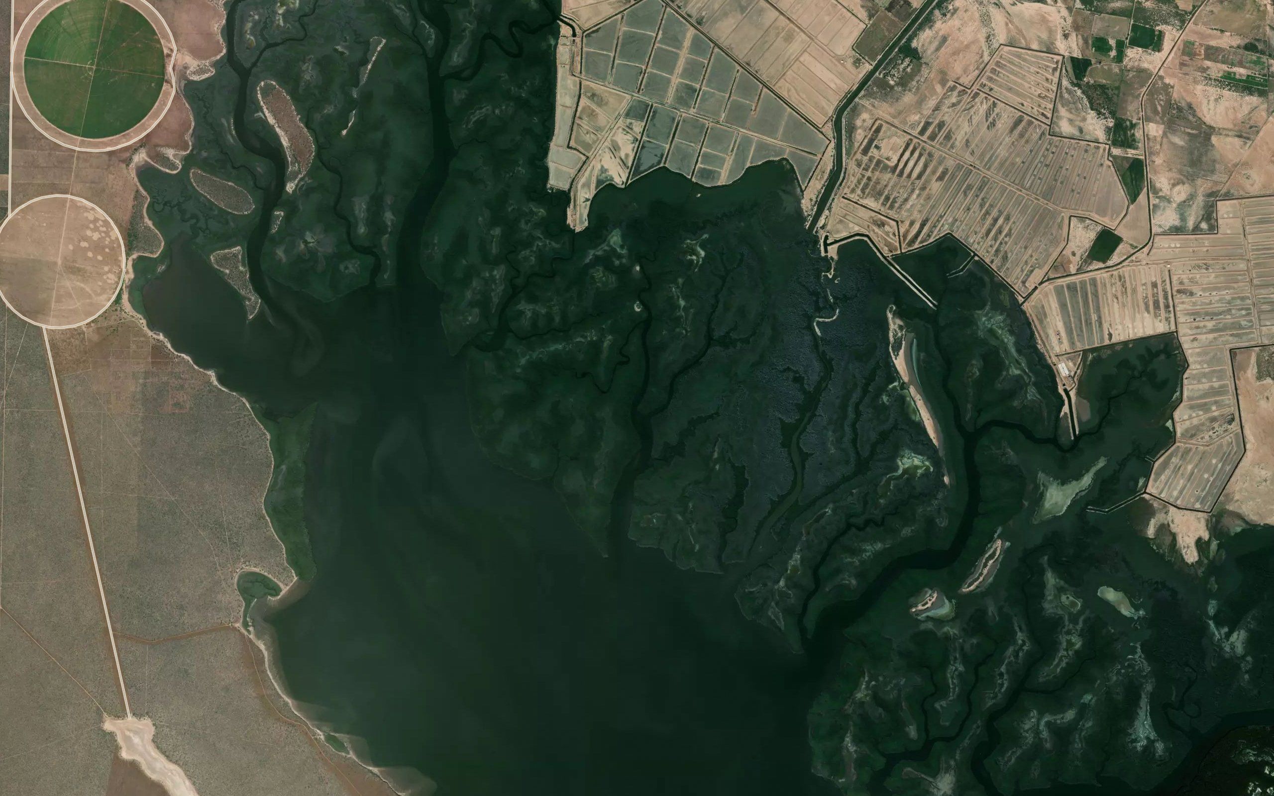 Estero la Periquera