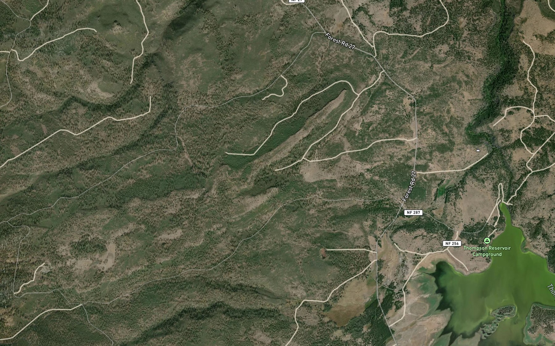 Satellite map of the Alder Spring