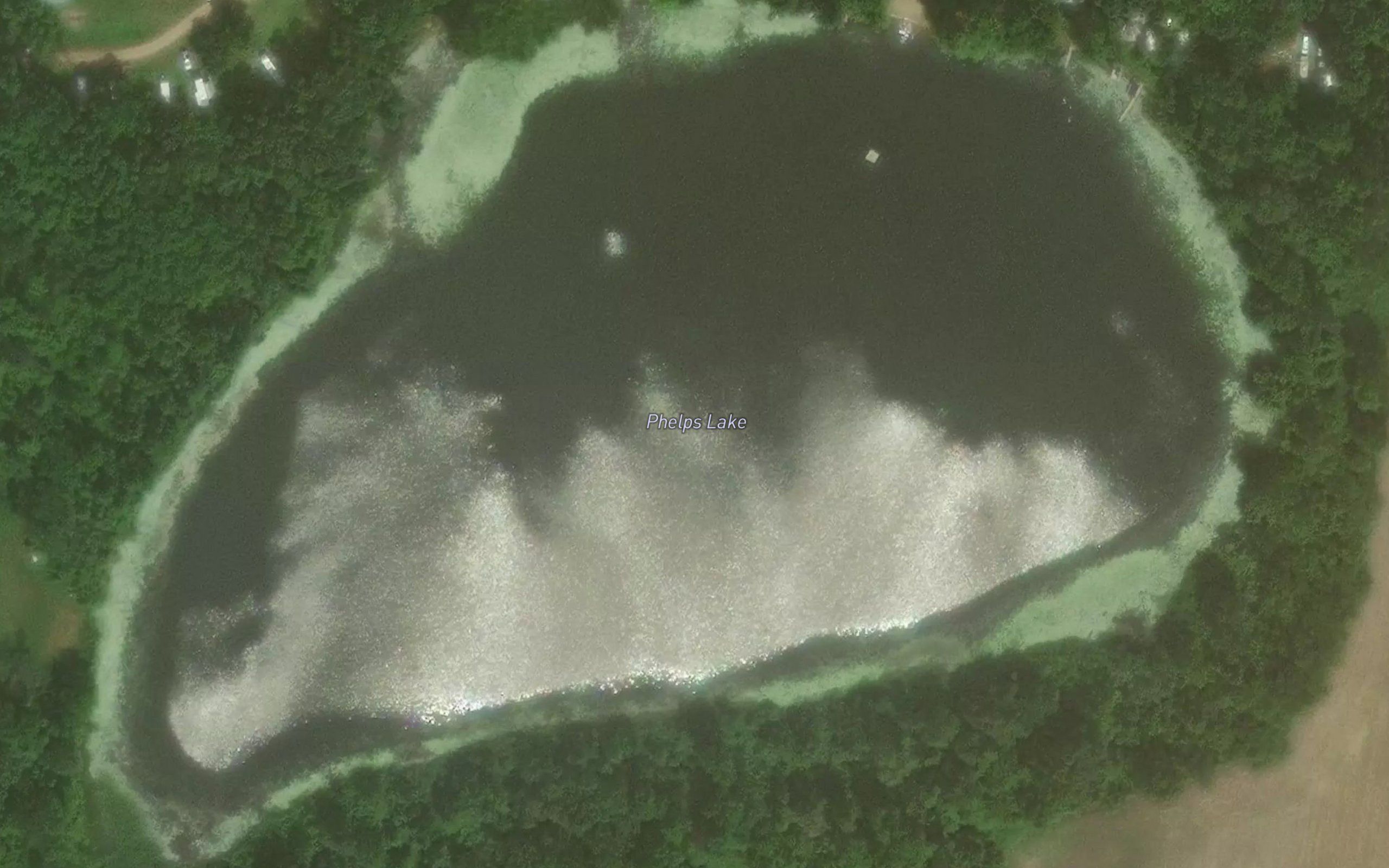 Phelps Lake