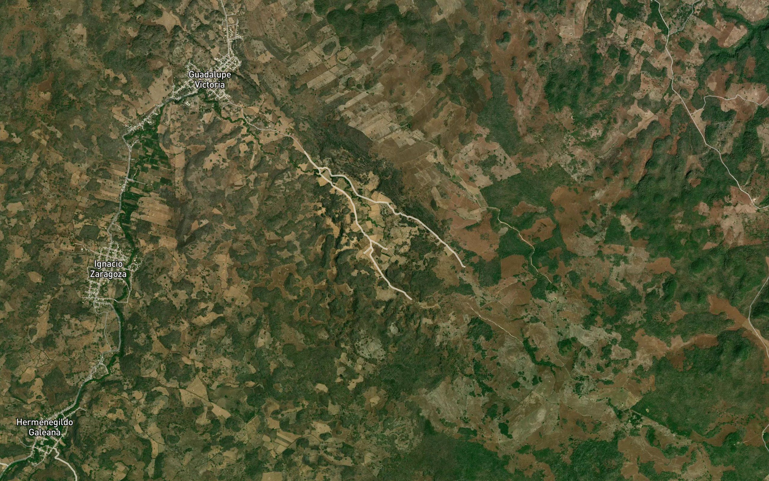 Guadalupe