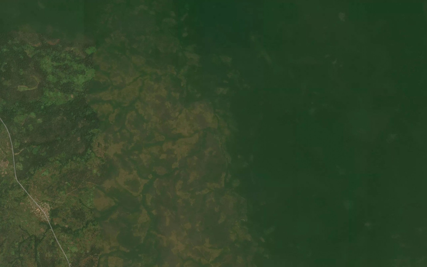 Satellite map of the River Tambari